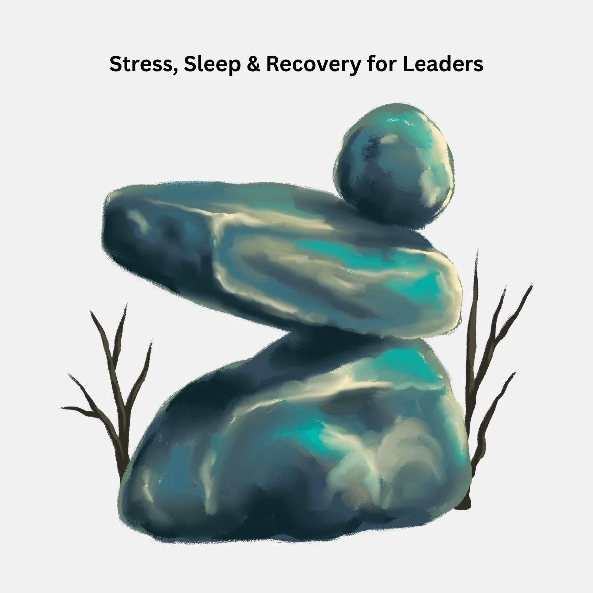 Stress, Sleep &amp; Recovery for Leaders: Are you working well?