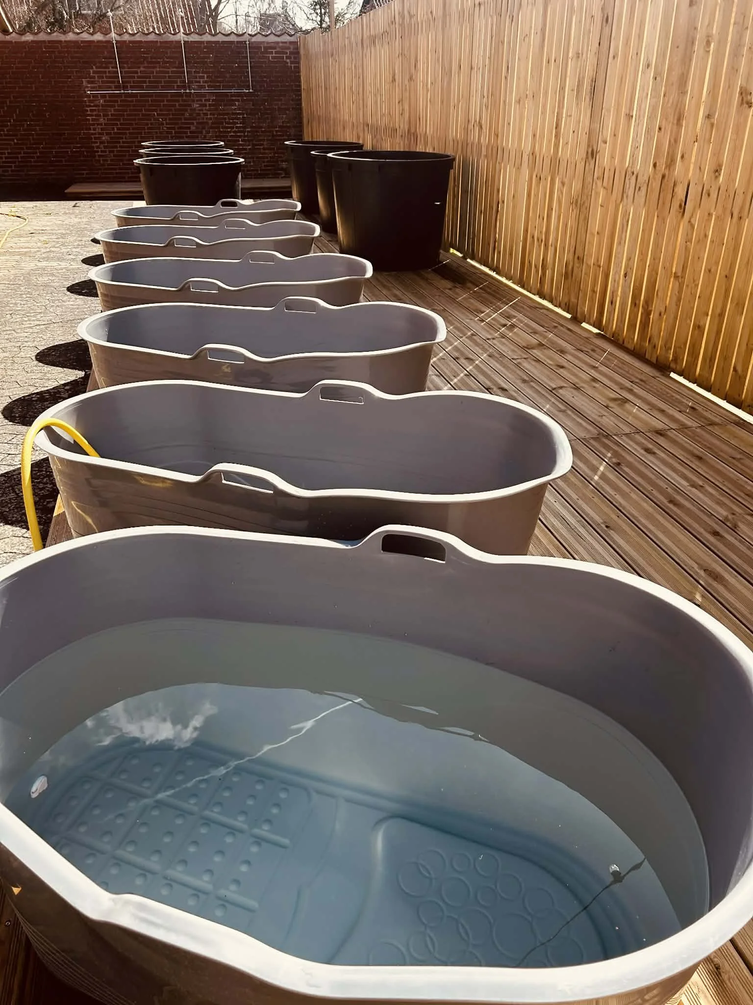 Billede af en have, hvor der er små badekar fyldt med vand, og en træ-terrasse med træskel, omkranset af en træ- og murstensmur.