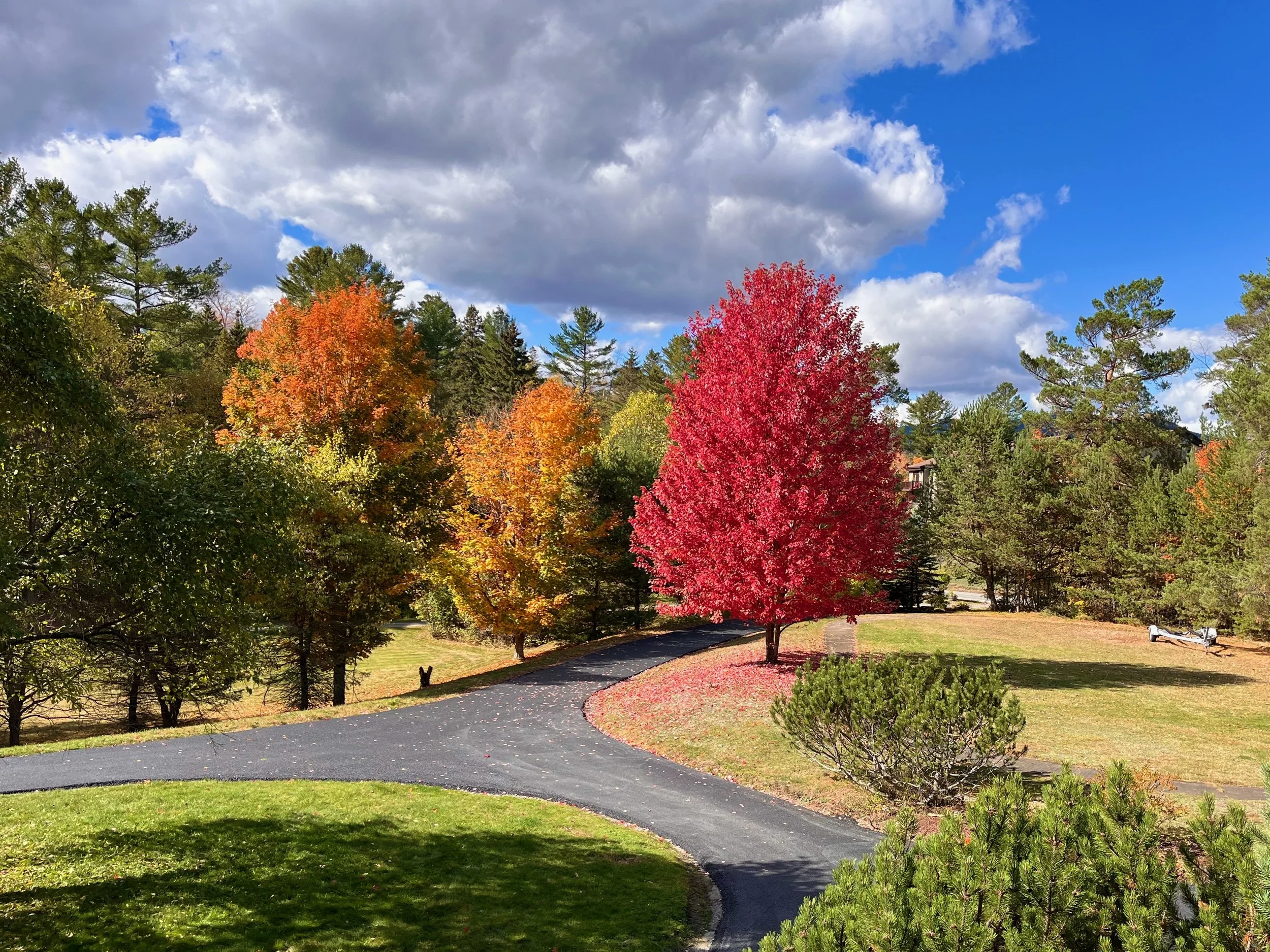 Fall Foliage in Lake Placid.jpeg