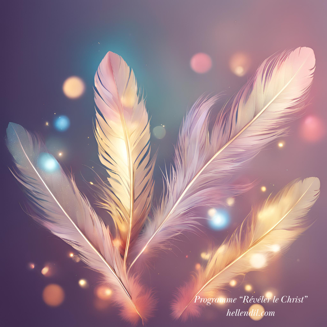 Chapitre 5 - Ton évolution &amp; ton défi