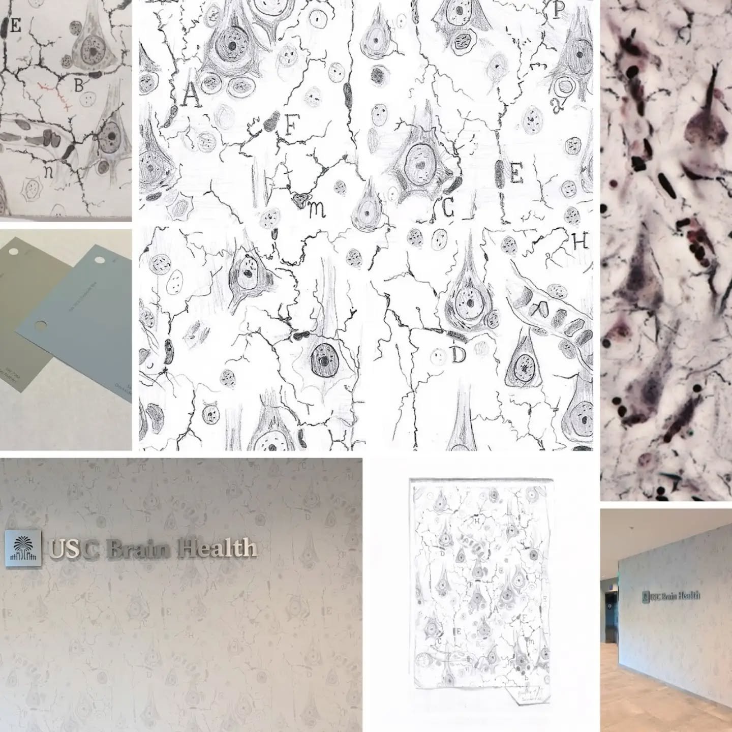I am deeply honored to have my work at the University of South Carolina Brain Health Center featured by Santiago Ram&oacute;n y Cajal &middot; el Legado in Spain.

The feature brings together all three components of my permanent installation at the B