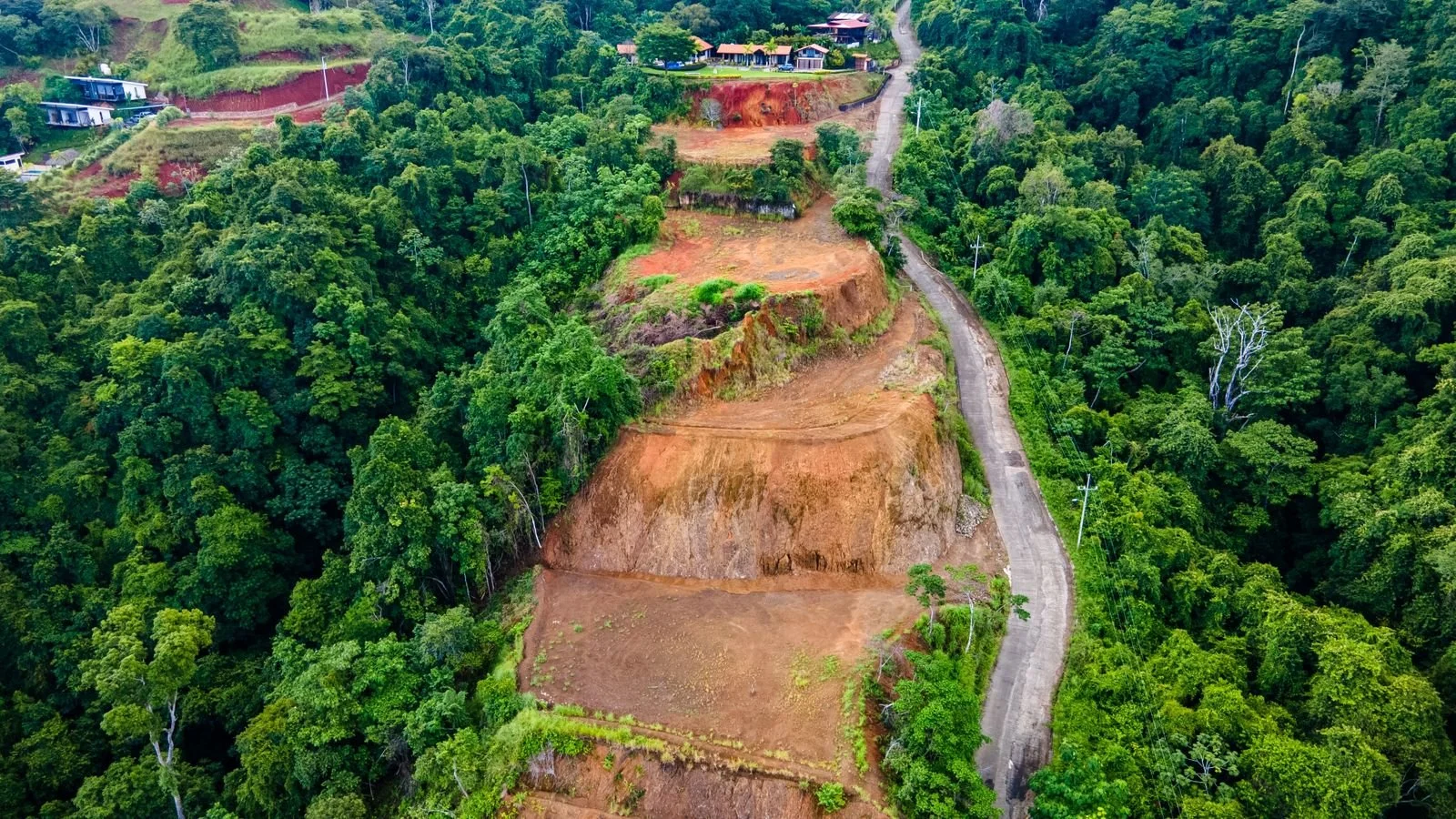 A hillside with terraced areas showing erosion and landslides, surrounded by dense green forest, with a narrow road running alongside.