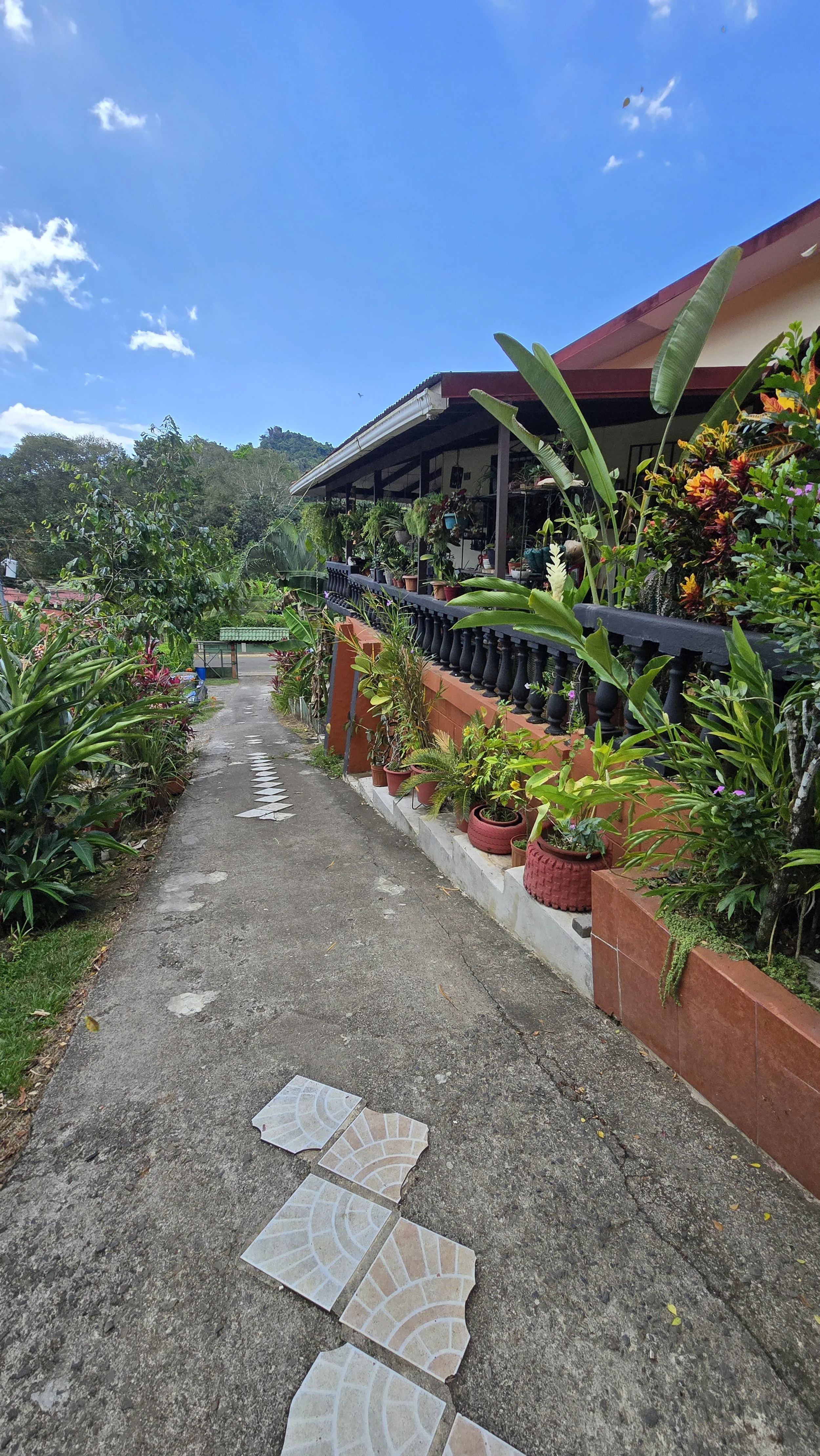 A narrow outdoor walkway with four decorative tiles leading up to a house with a porch. The porch is decorated with numerous potted plants and flowers, with a railing. The scene is lush and green, set against a bright blue sky with scattered clouds.