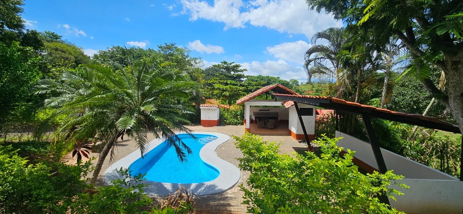A backyard scene with a blue curvy swimming pool, lush green trees and plants, small white and red building with a tiled roof, and a shaded area with a table and chairs under a roof supported by black beams, with a partly cloudy sky overhead.