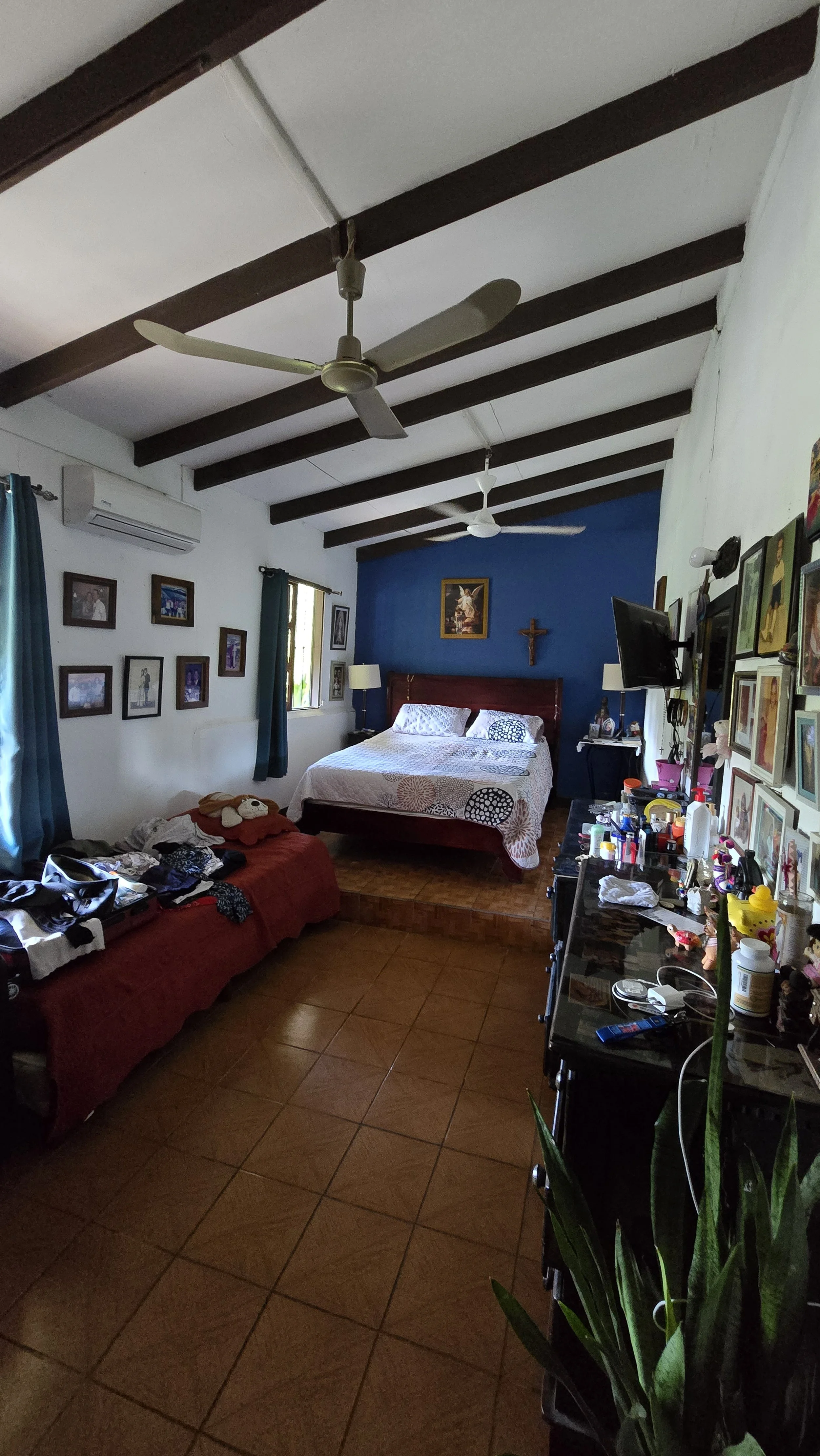 A cluttered bedroom with a raised bed against a blue wall, a red sofa with clothes and a teddy bear, and a black dresser with various items, framed pictures on the walls, ceiling fans, and windows with blue curtains.