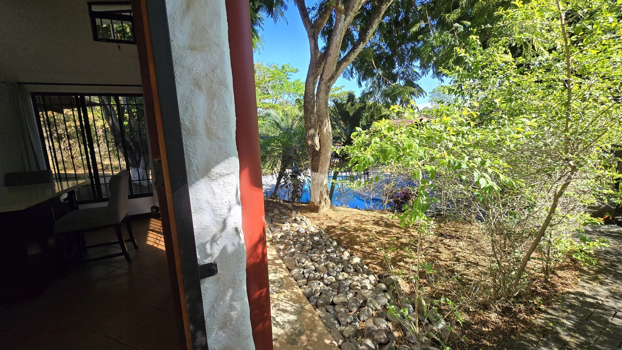 View from inside a house showing a door opening to a lush garden with trees and a pond, bright sunny day.