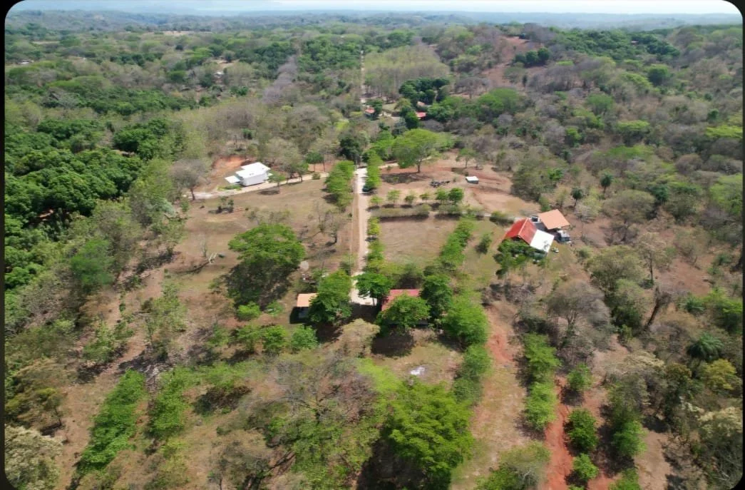 WhatsApp Image 2025-03-30 at 12.09.09_65291645.jpg