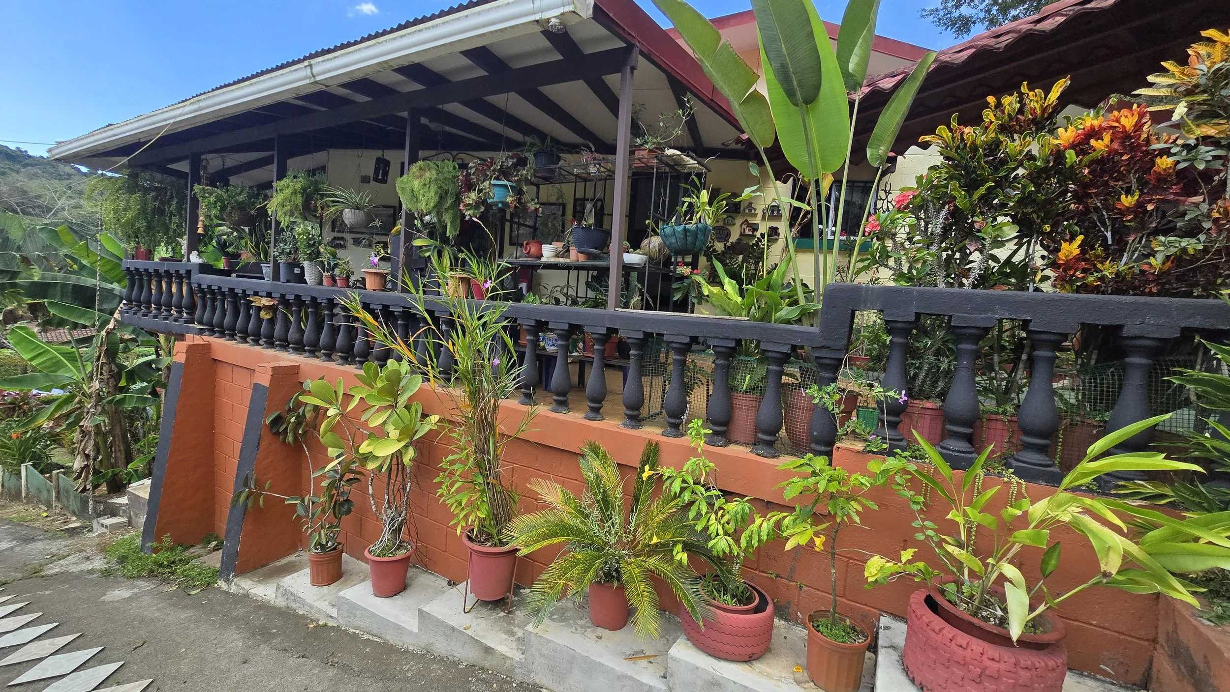 A terrace with a variety of potted plants including leafy and flowering plants, enclosed by a black wooden balustrade attached to a red brick wall. The terrace is covered by a roof and has a lush garden area with greenery and colorful foliage in the 