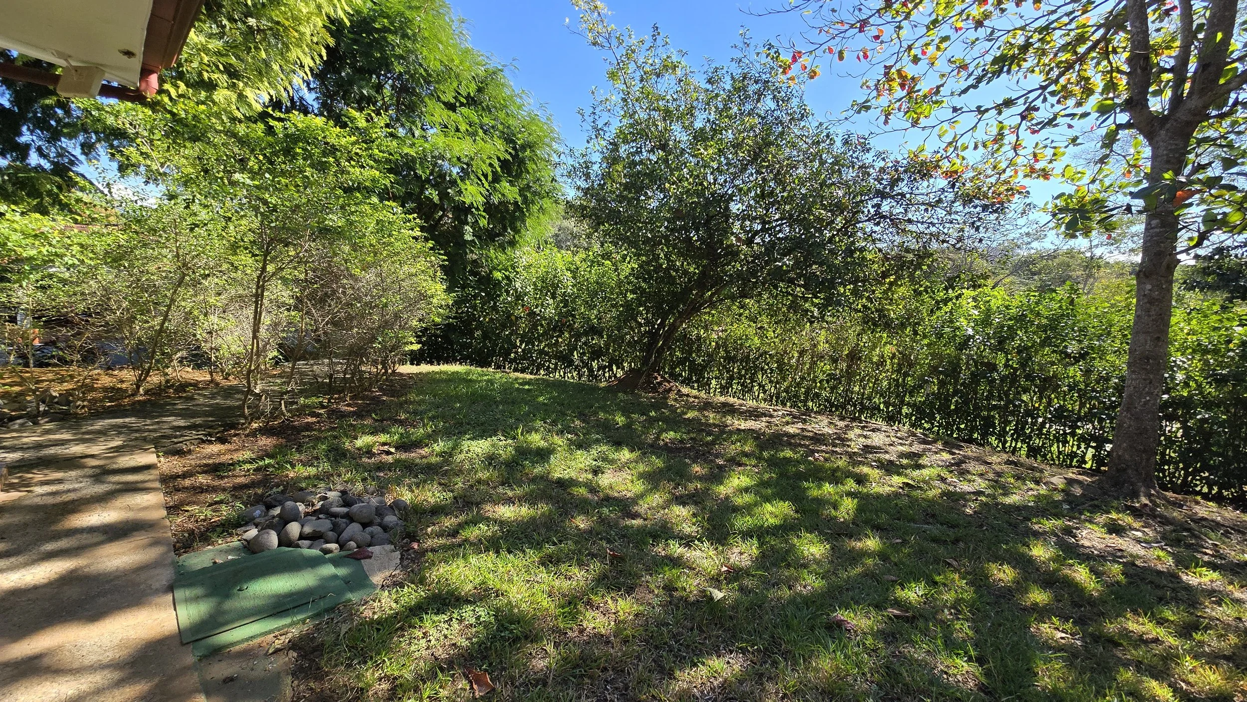 A backyard garden with green grass, trees, and shrubs under a bright blue sky. There is a concrete pathway on the left, a pile of rocks, and a green planting mat. Shadows of trees are cast on the ground.