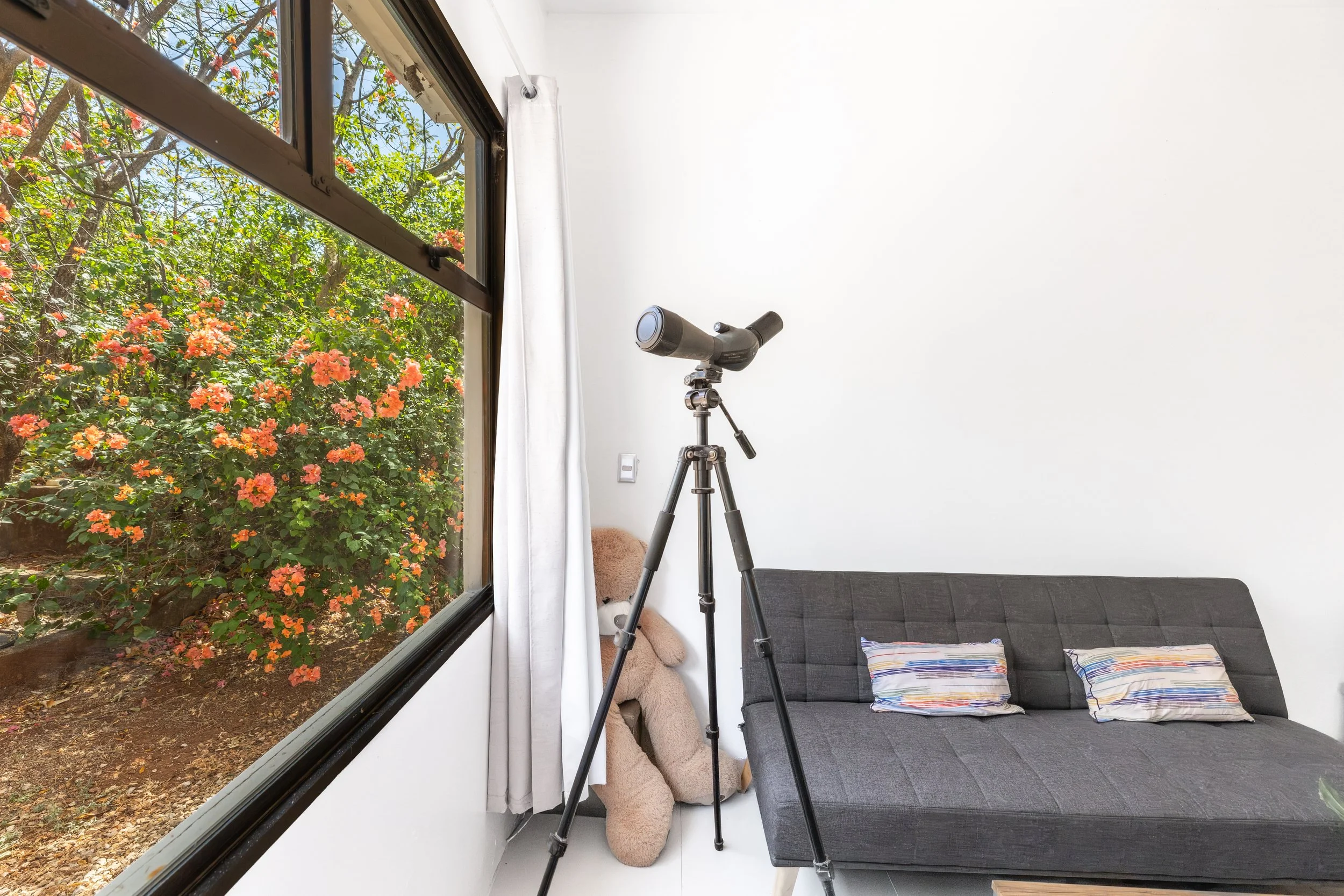 Real Estate - Tamarindo - Marge13.jpg