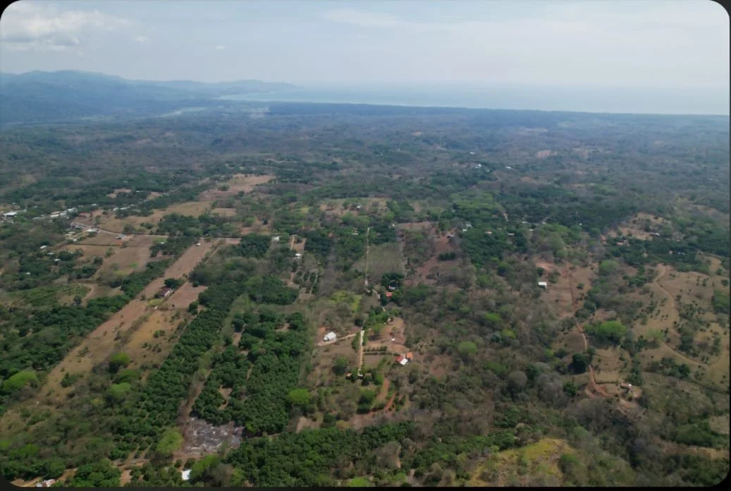 WhatsApp Image 2025-03-30 at 12.09.09_2f76d11c.jpg