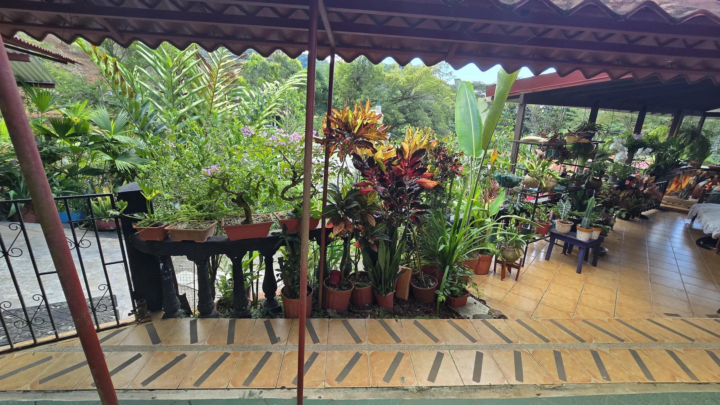 Covered outdoor patio with numerous potted plants and garden greenery, with trees and a partly cloudy sky in the background.