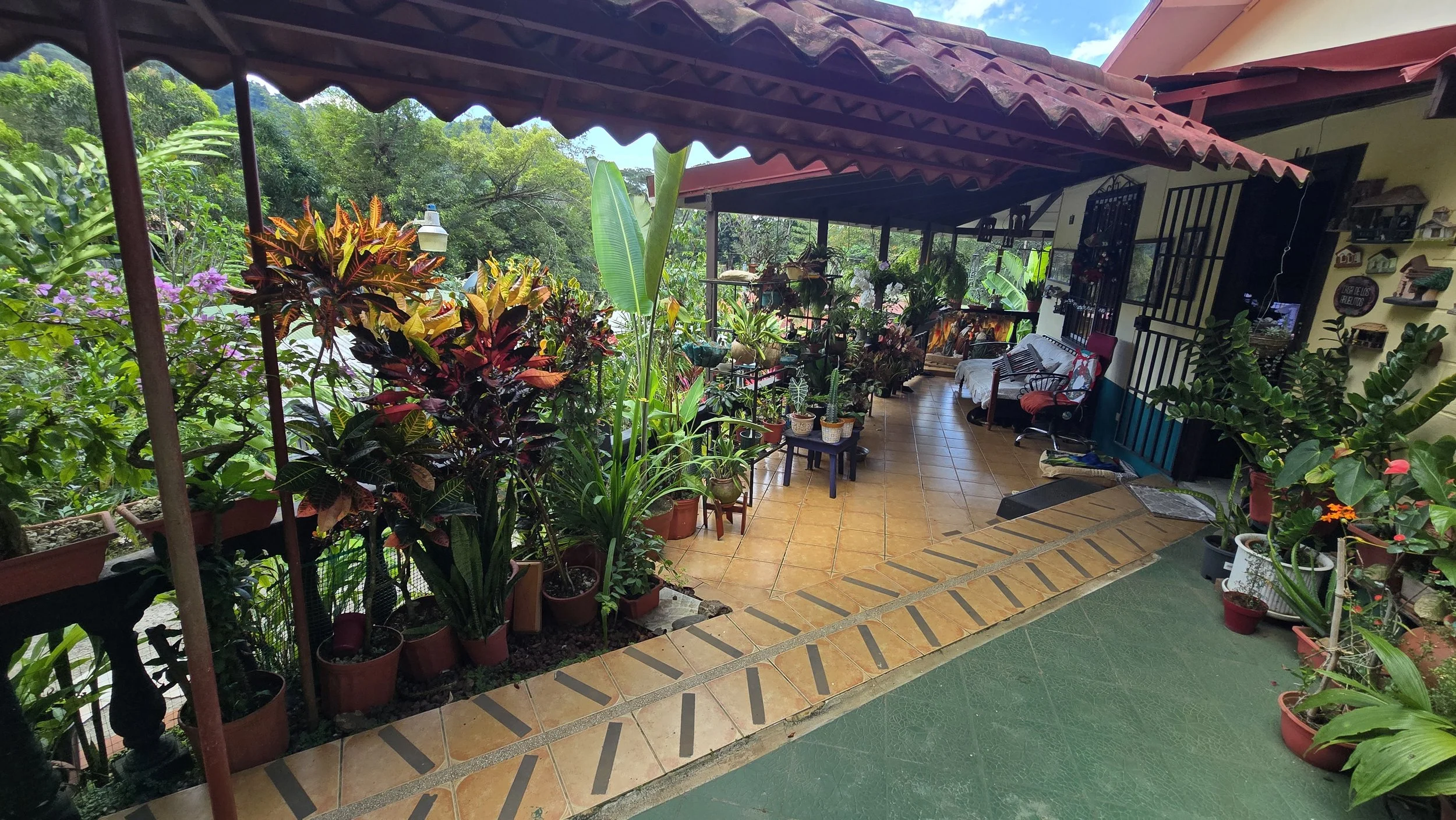 A covered outdoor patio area filled with potted plants, including colorful foliage and flowering plants, with a view of greenery in the background. There are chairs, a table, and decorative items on the wall.
