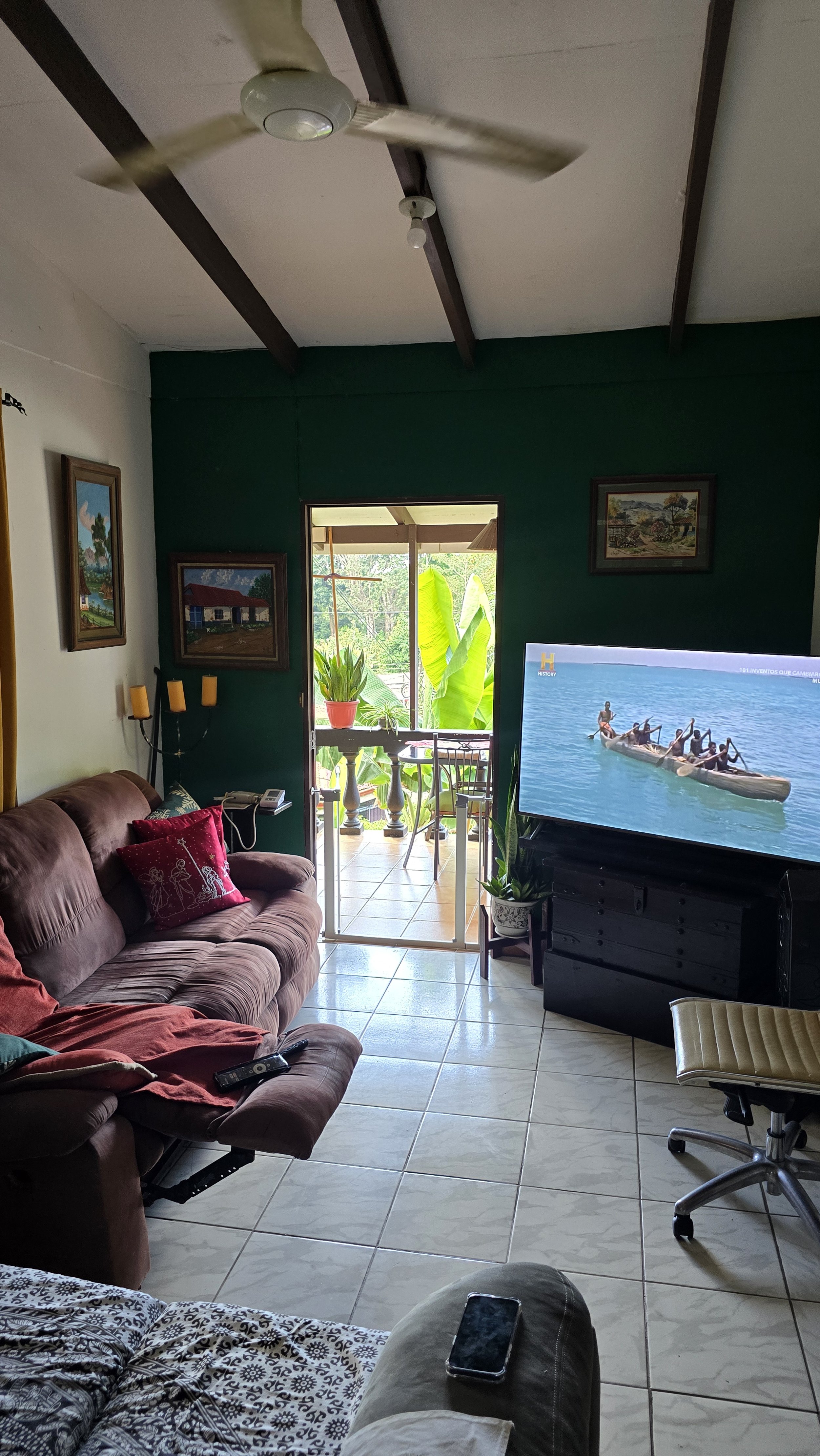Living room with a brown sofa, a TV displaying a boat on water, potted plants, wall art, and a balcony with outdoor furniture.