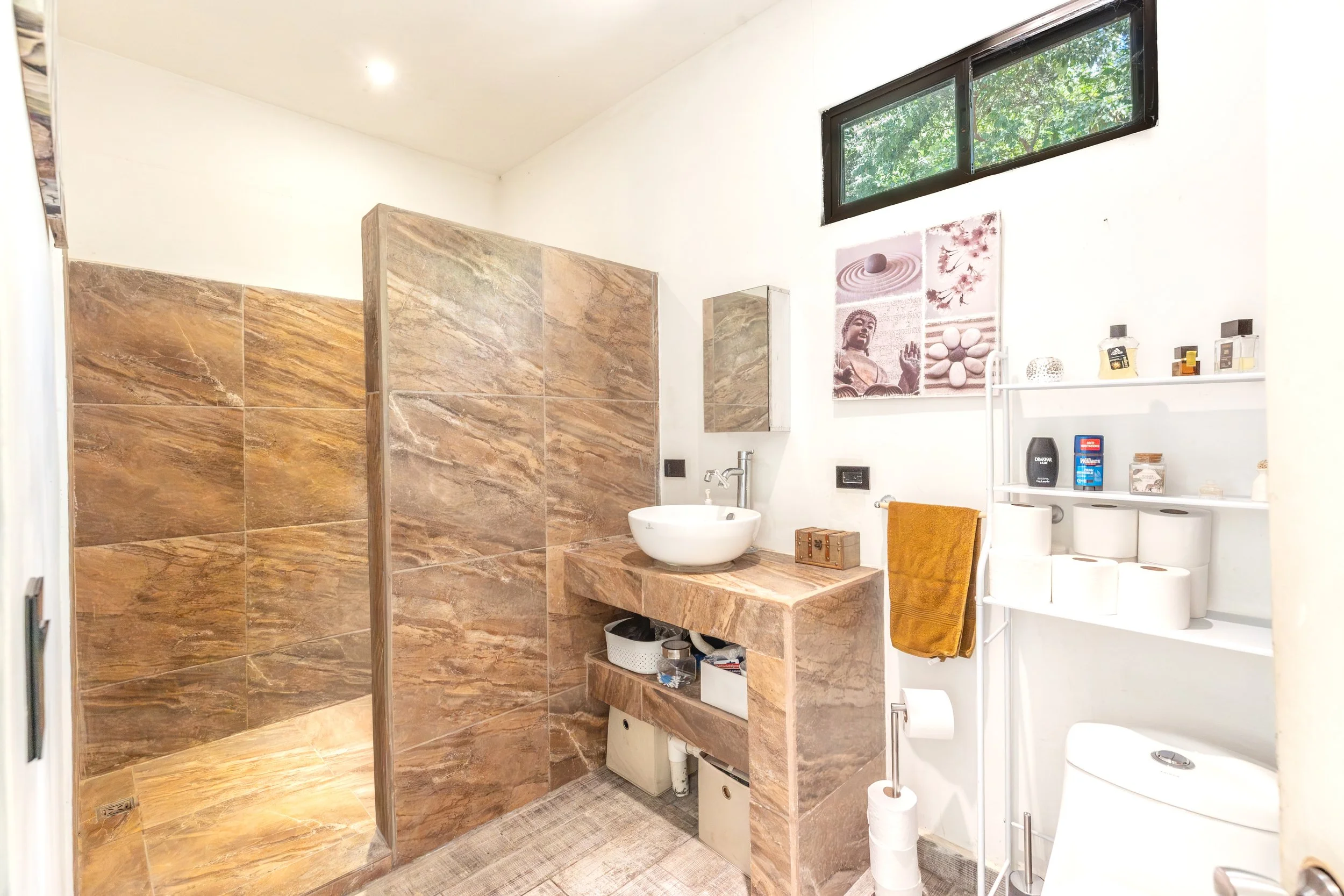 Real Estate - Tamarindo - Marge58.jpg