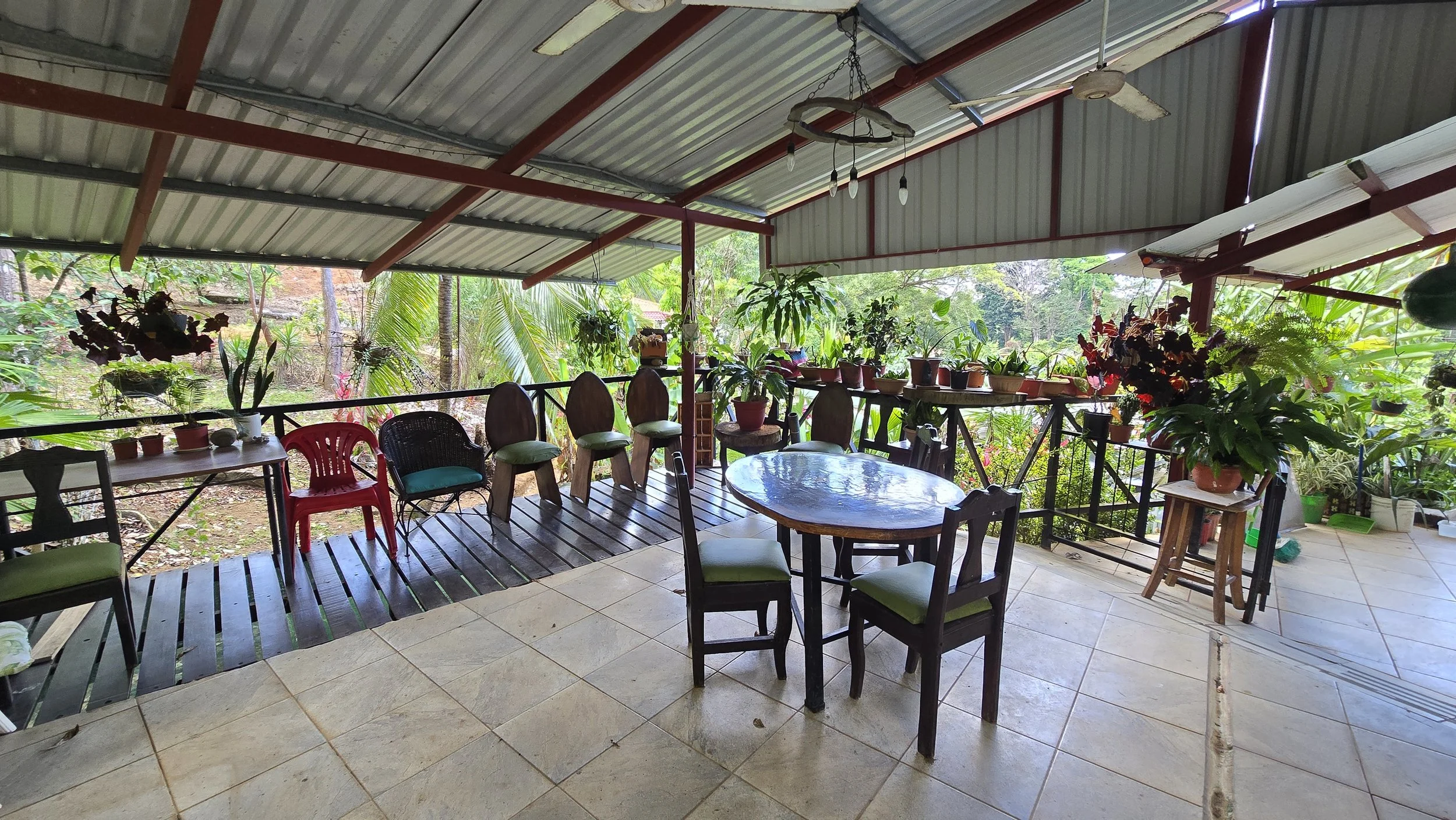 Covered porch with potted plants on railing, wooden table with chairs, ceiling fan, and view of green trees and plants outside.