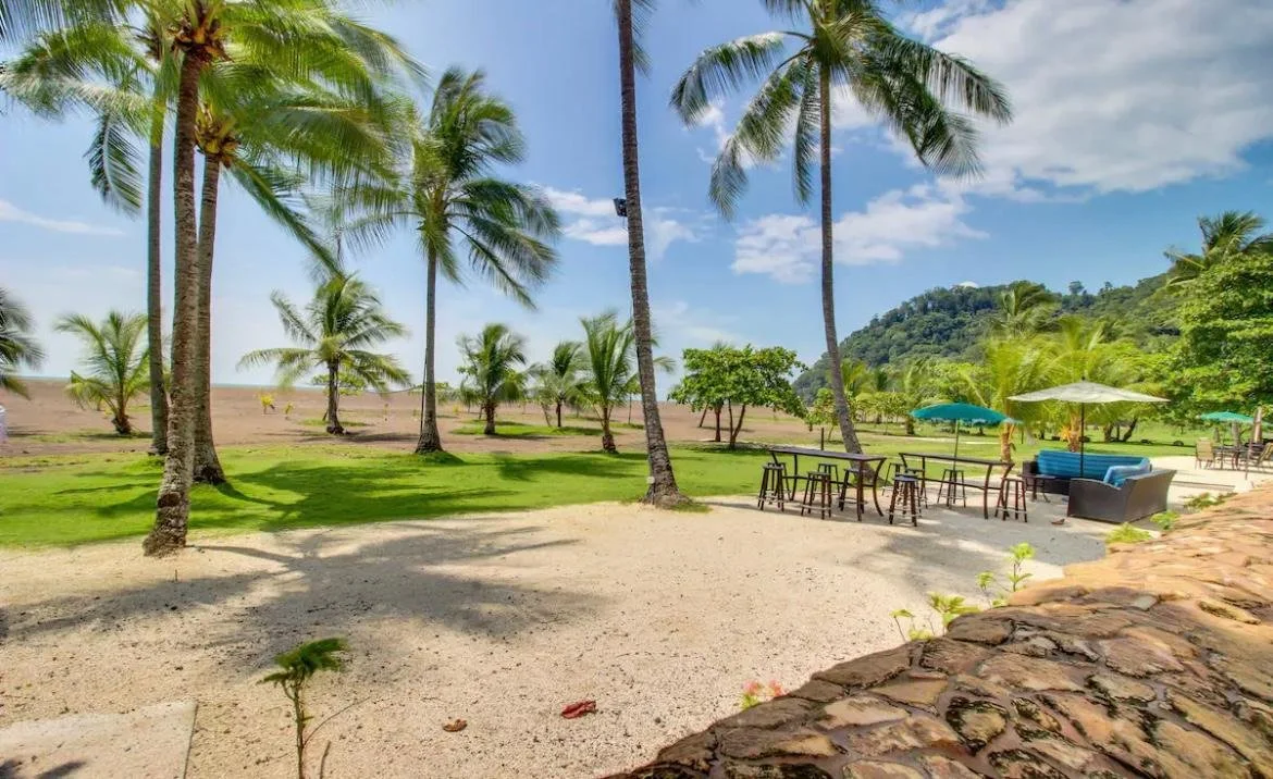 92b76e16-9bdf-4ce0-af5b-5306f072fca8.jfif