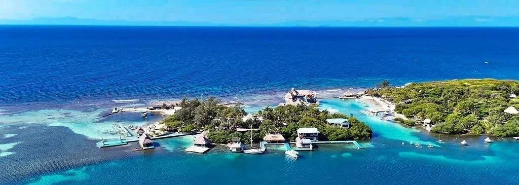A tropical beach scene with palm trees, thatched umbrellas, lounge chairs, and shallow clear water.