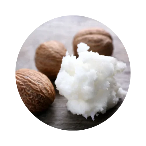 Shea-Butter-1 (1).webp