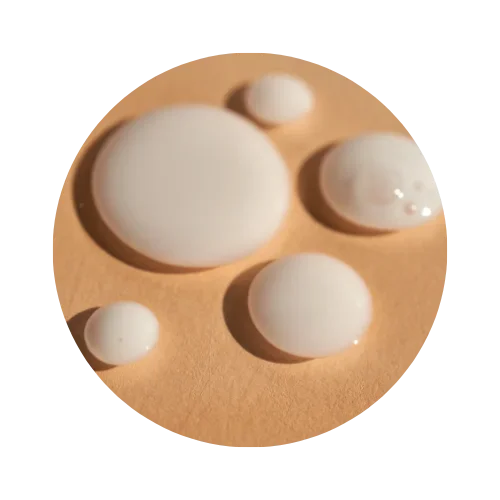 Ceramides (1).webp