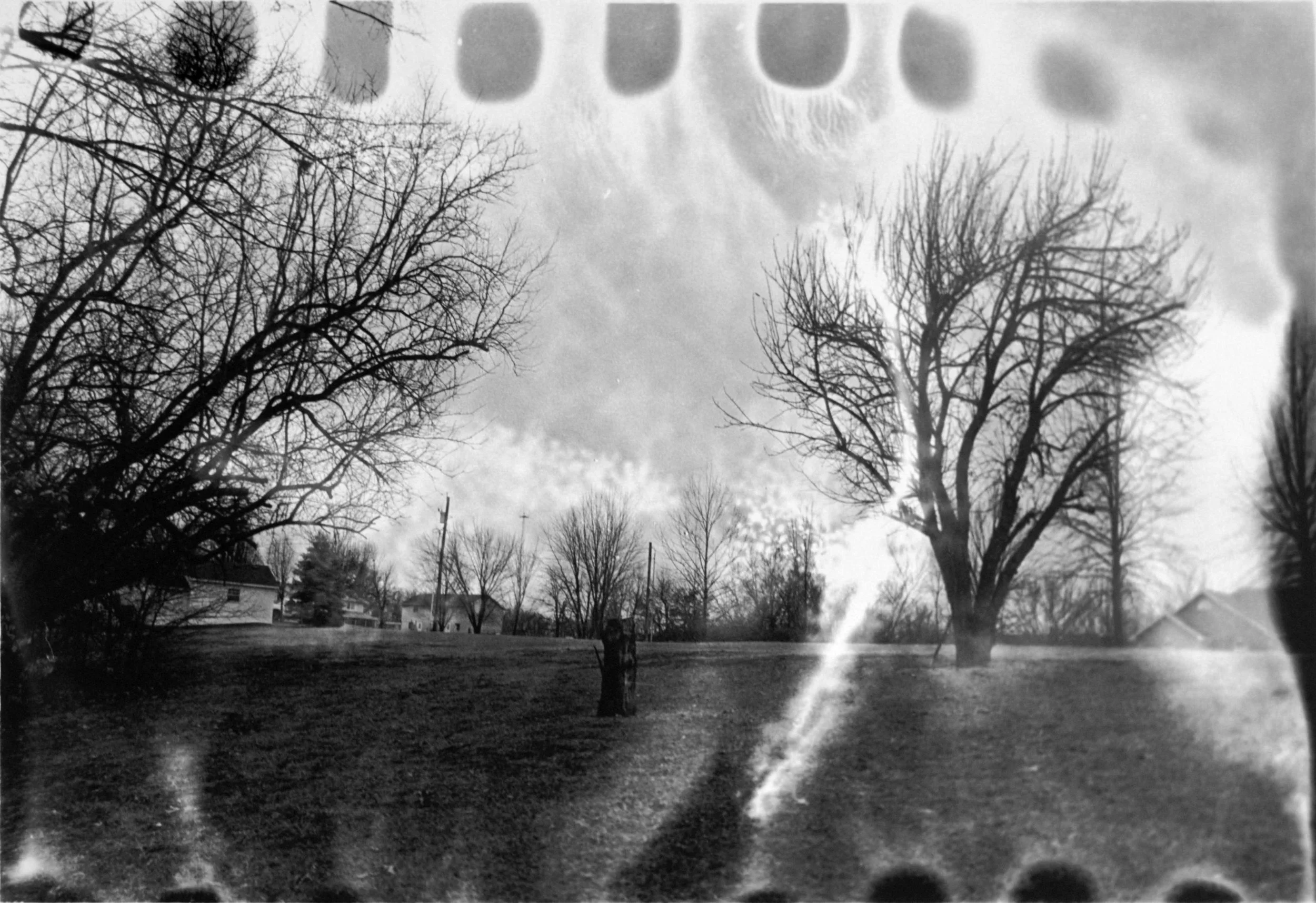 Three Apple Trees.jpg