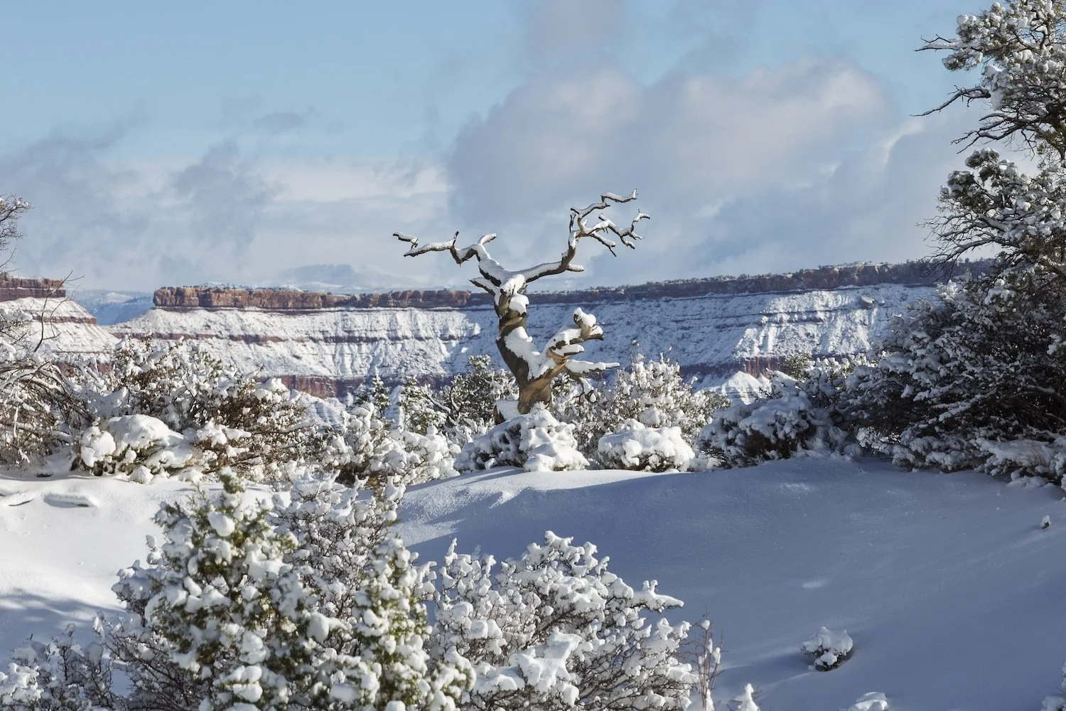 development &amp; taxes