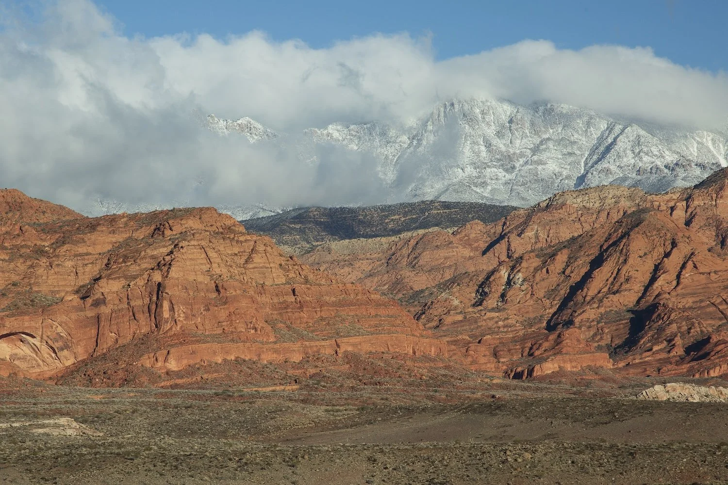 Trail Ridge Park status &amp; abatement of dangerous structures