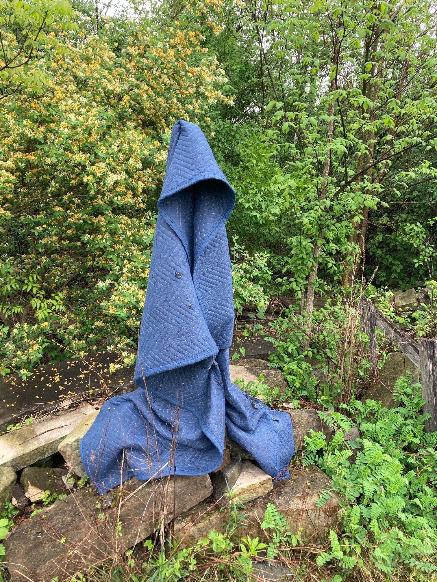 A blue quilted blanket draped over rocks in a lush, green garden setting with trees and plants surrounding it.
