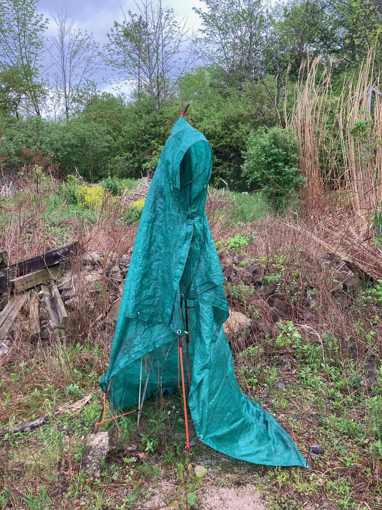 Green tarp draped over wooden poles in a grassy area with trees in the background.