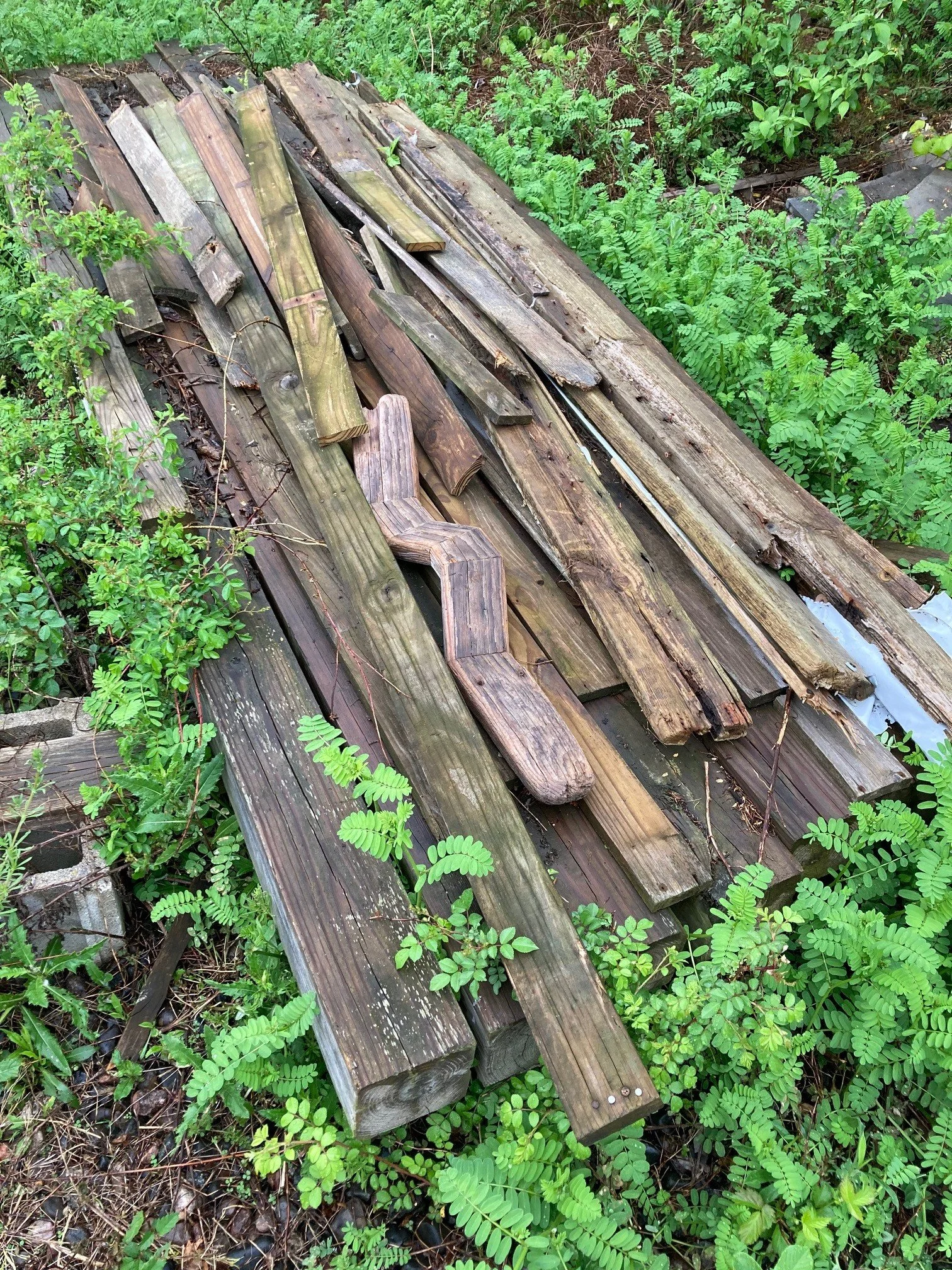 A pile of weathered wooden boards and beams on the ground surrounded by greenery.