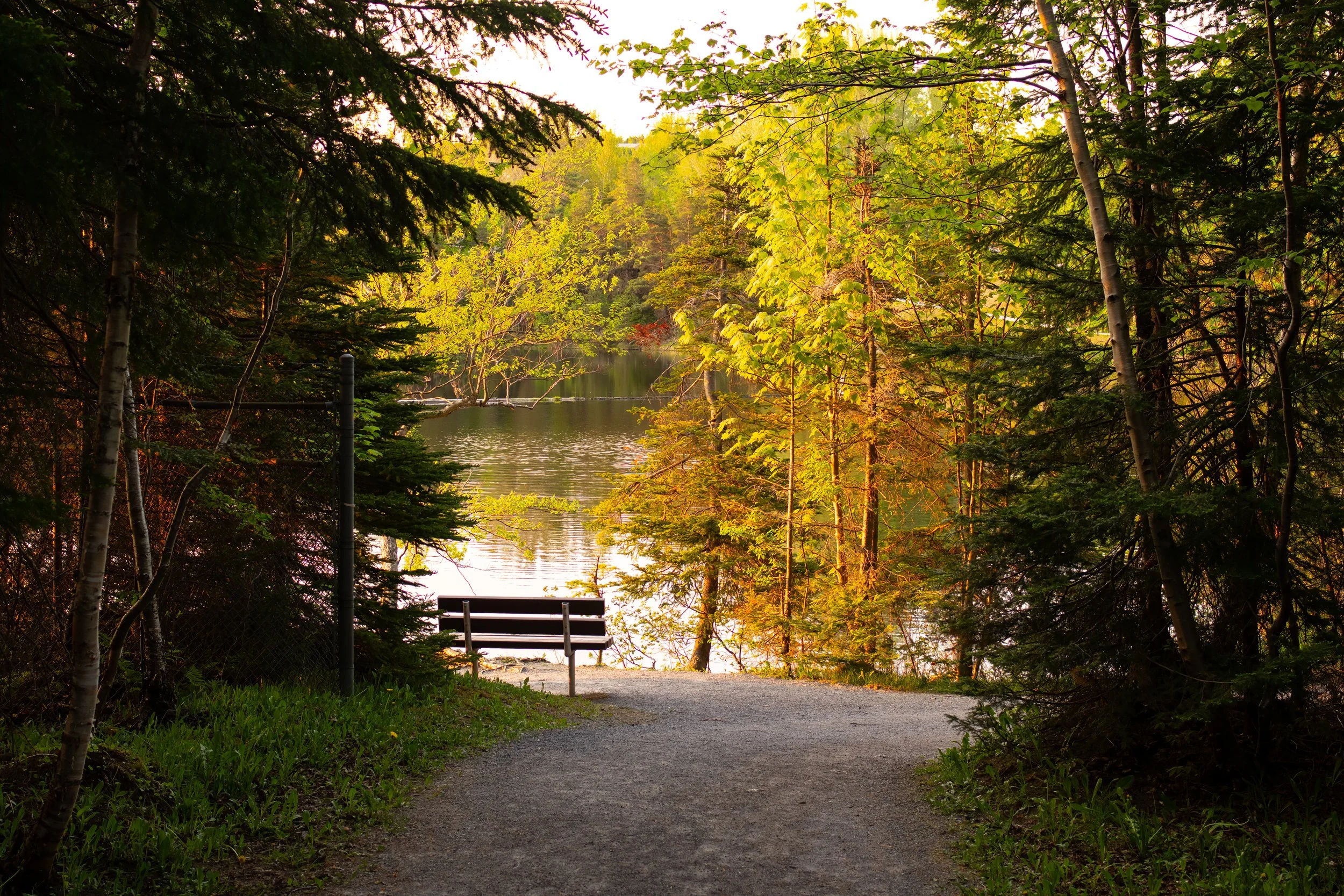 Glynmill Pond.jpg