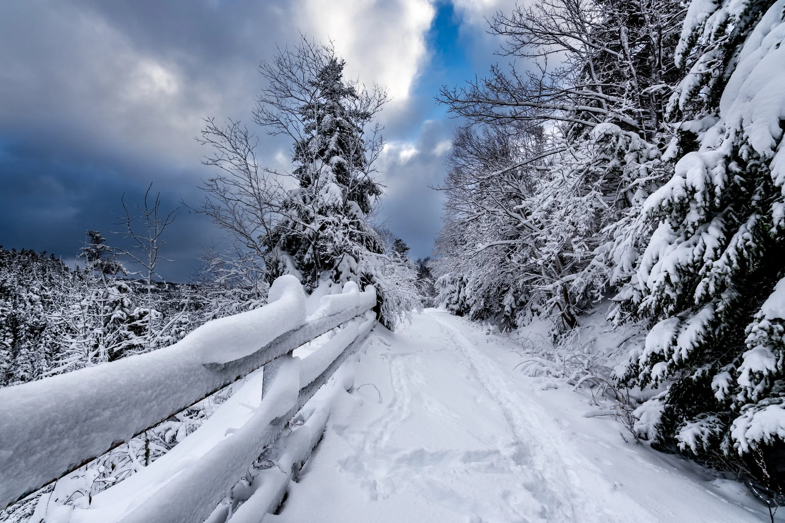 BP Winter - web-5496.jpg