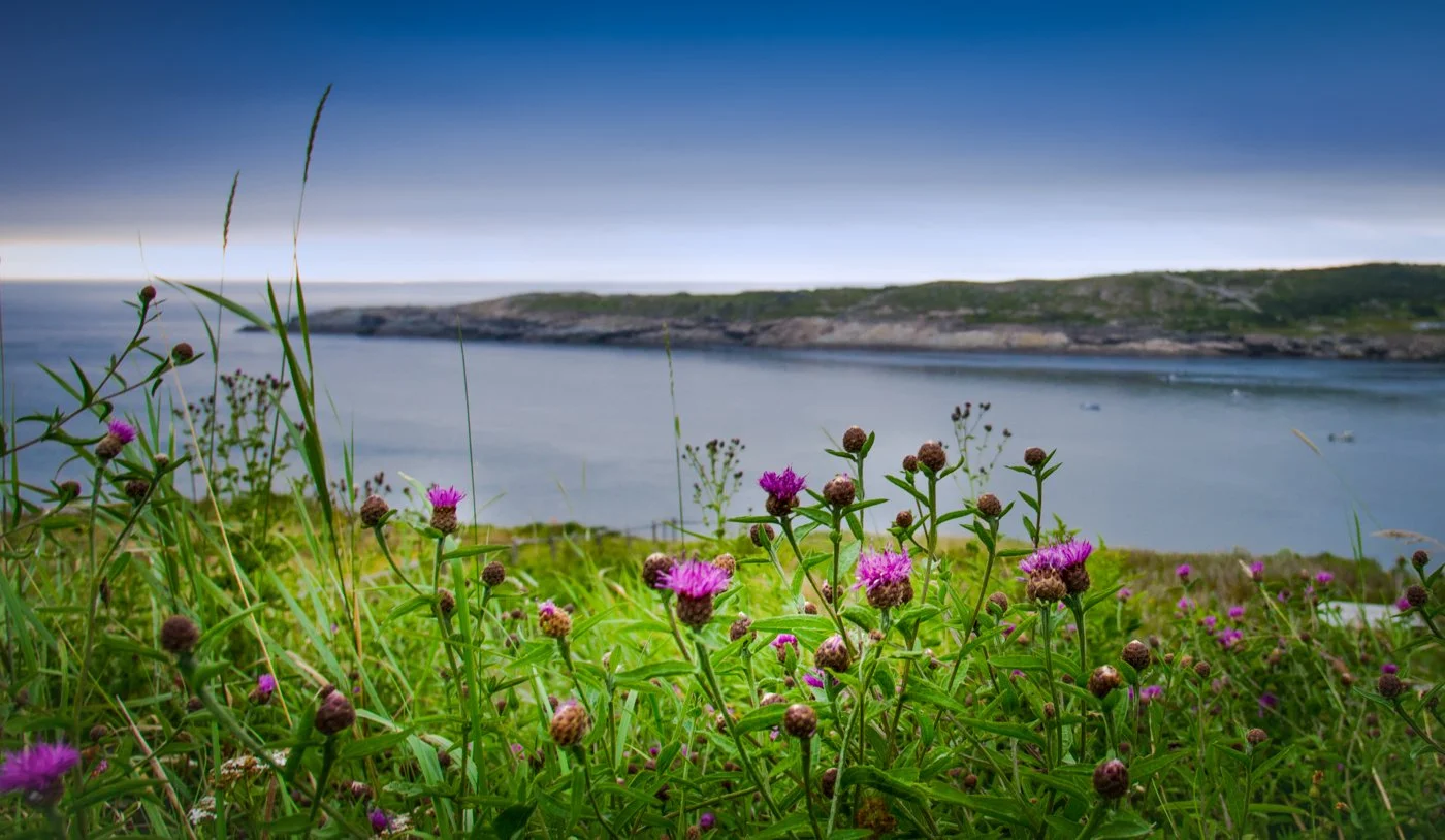 Flatrock Ocean 2-.jpg