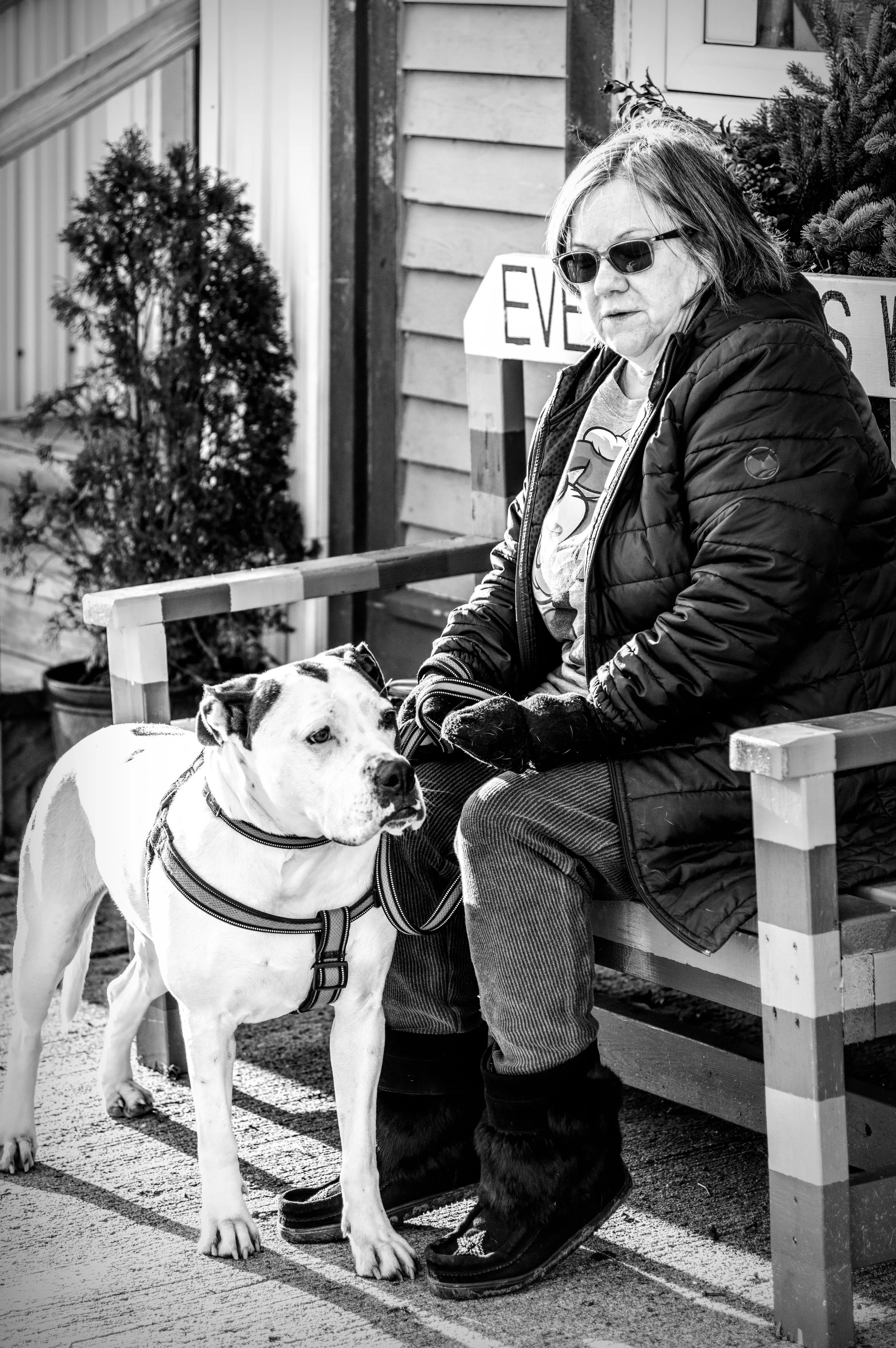 5th Dog 1_IMG8096-Edit-2-Edit.jpg