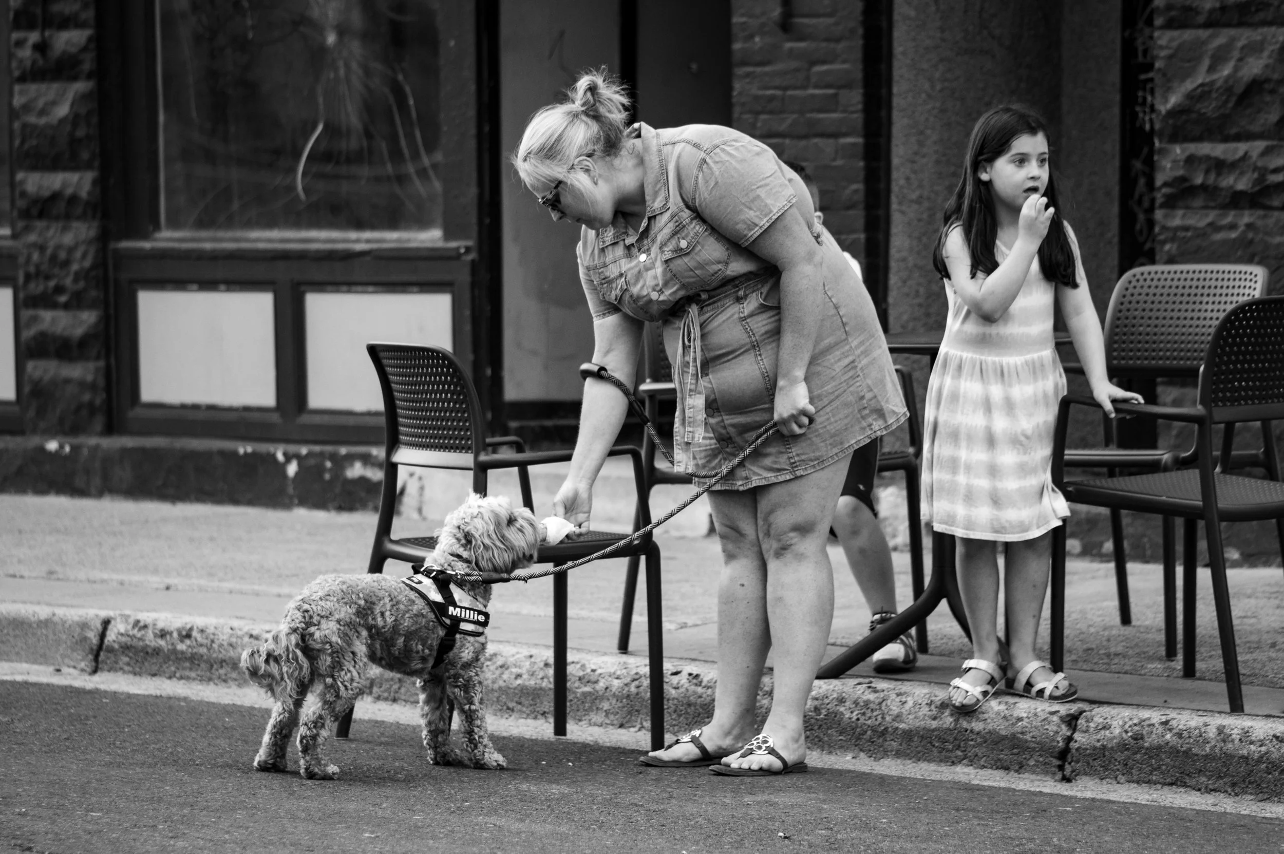 Street - Web 7-0416.jpg