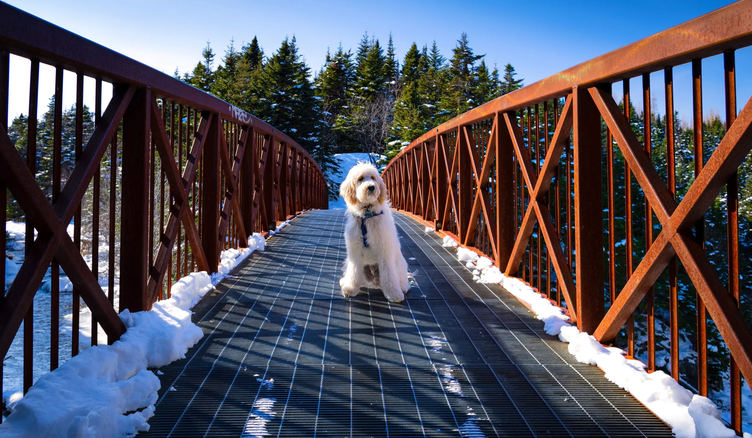 Murphy Wide_IMG9607-Edit-Edit.jpg