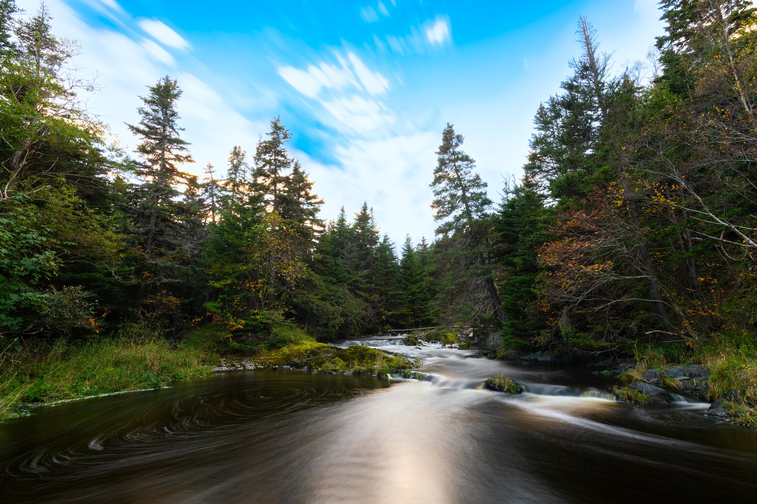 South Brook Fall 4 small.jpg