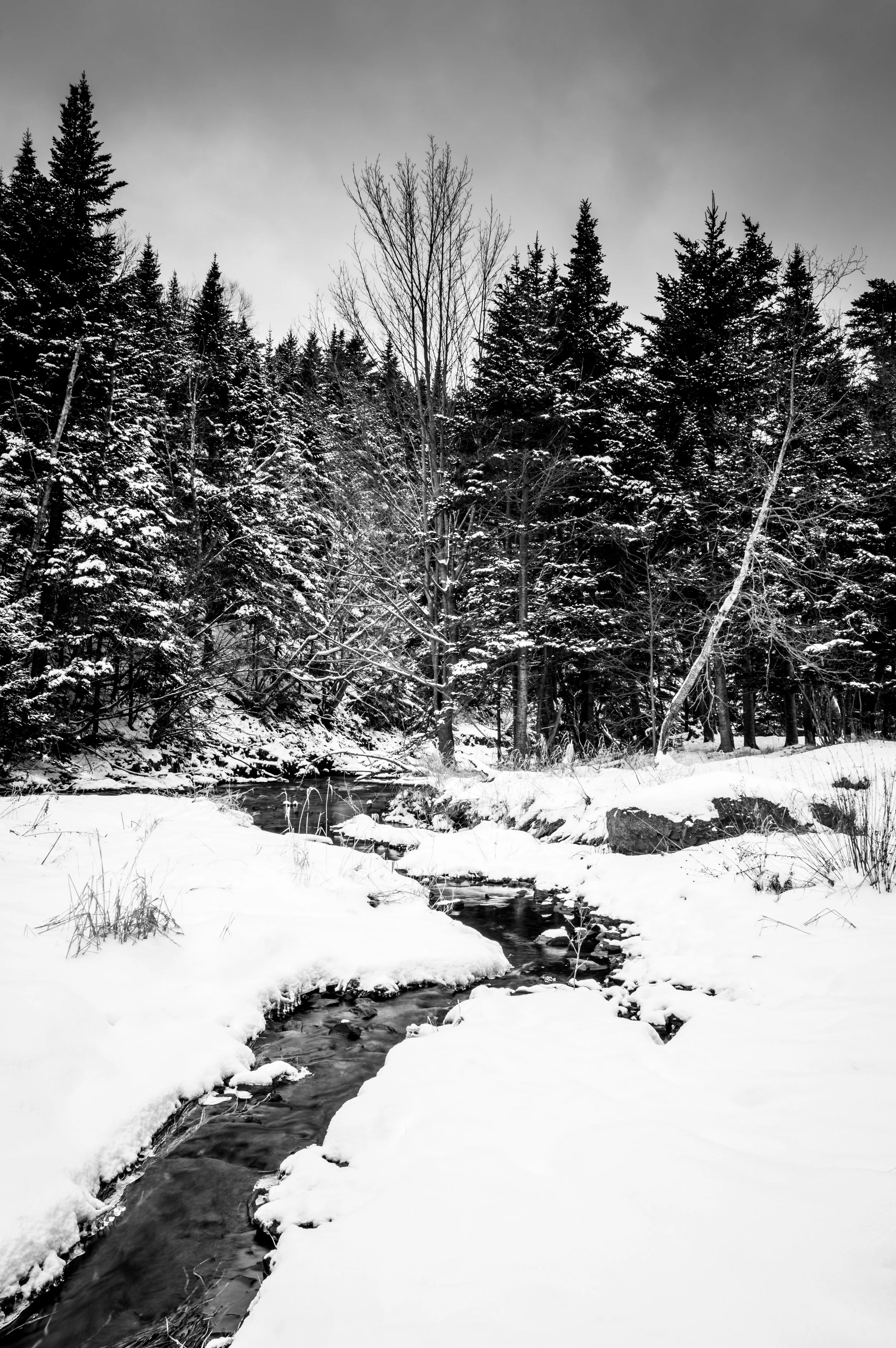 South Brook Tall-2.jpg