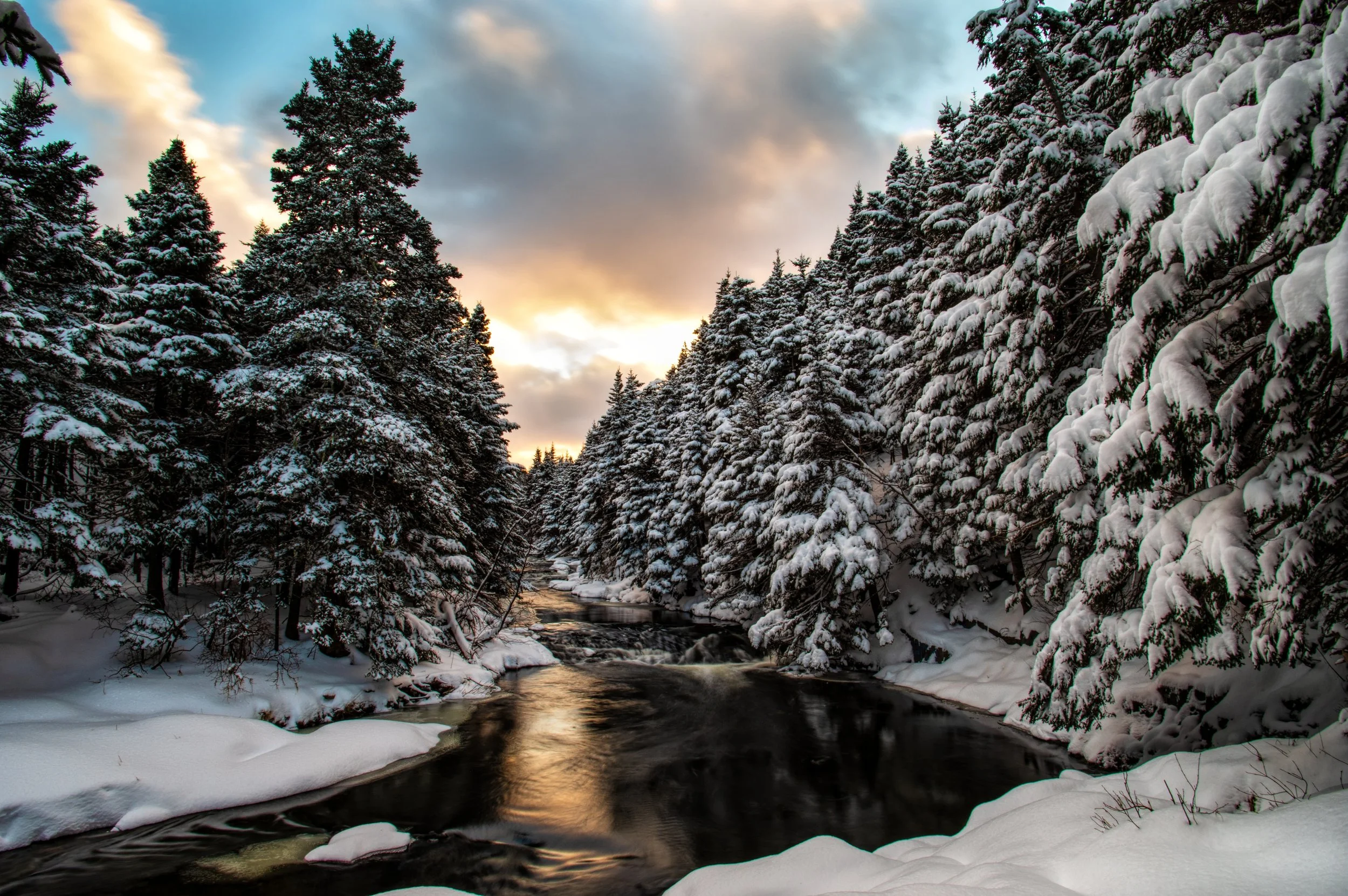 Bright _IMG9354-Edit-Edit.jpg