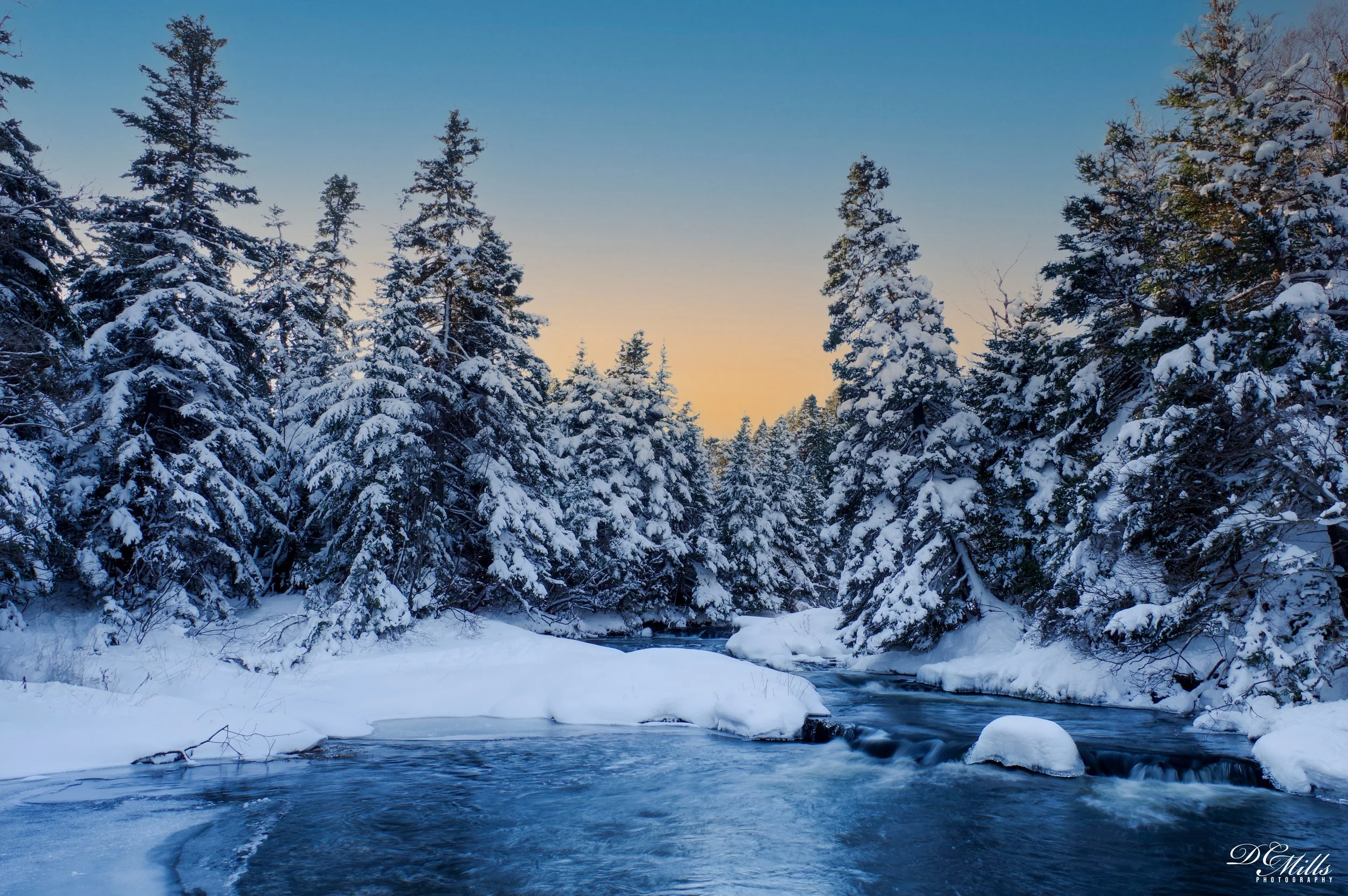 Bowring Winter-1168 copy.jpg