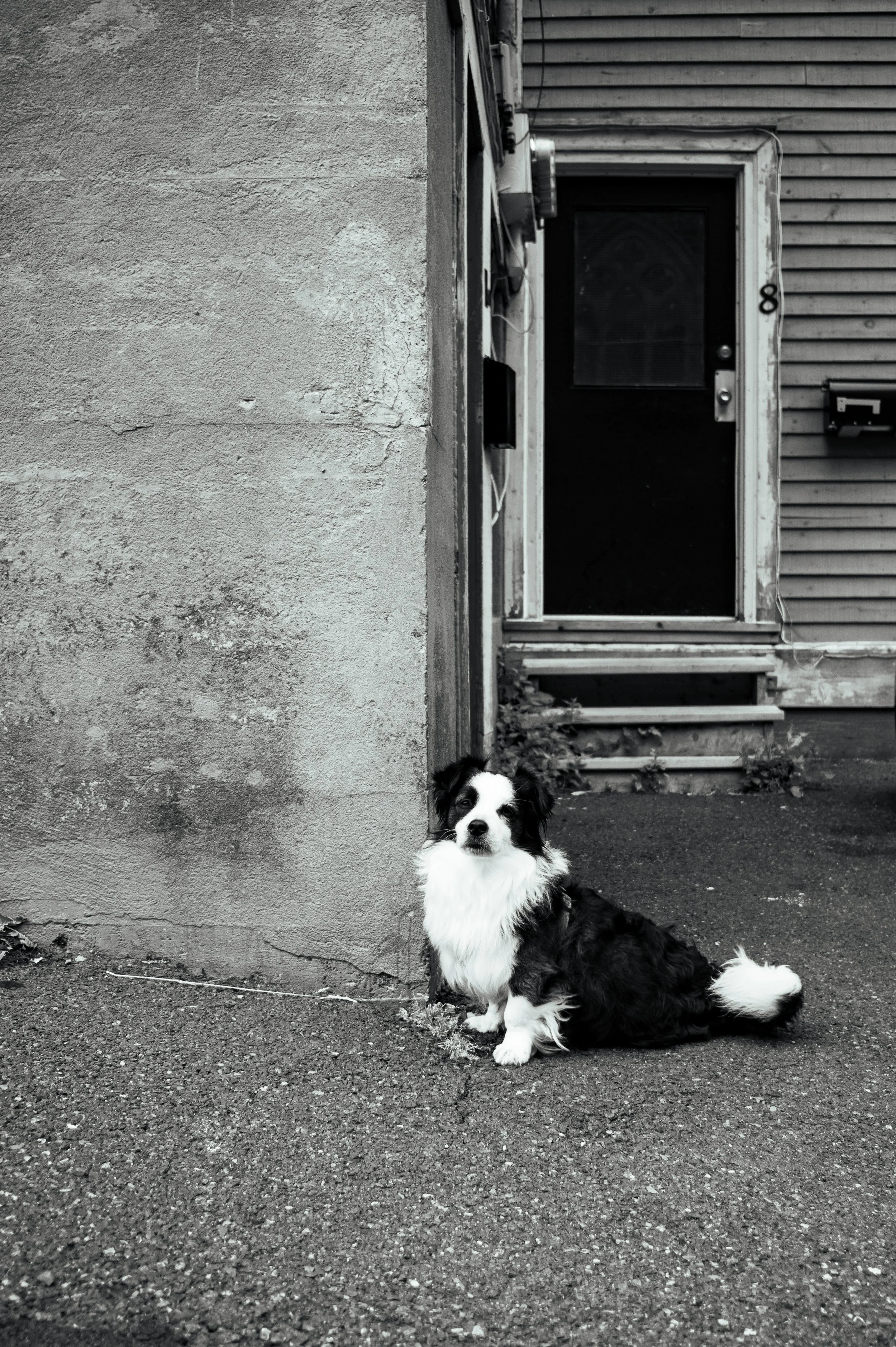 Street - Web 16-1045.jpg