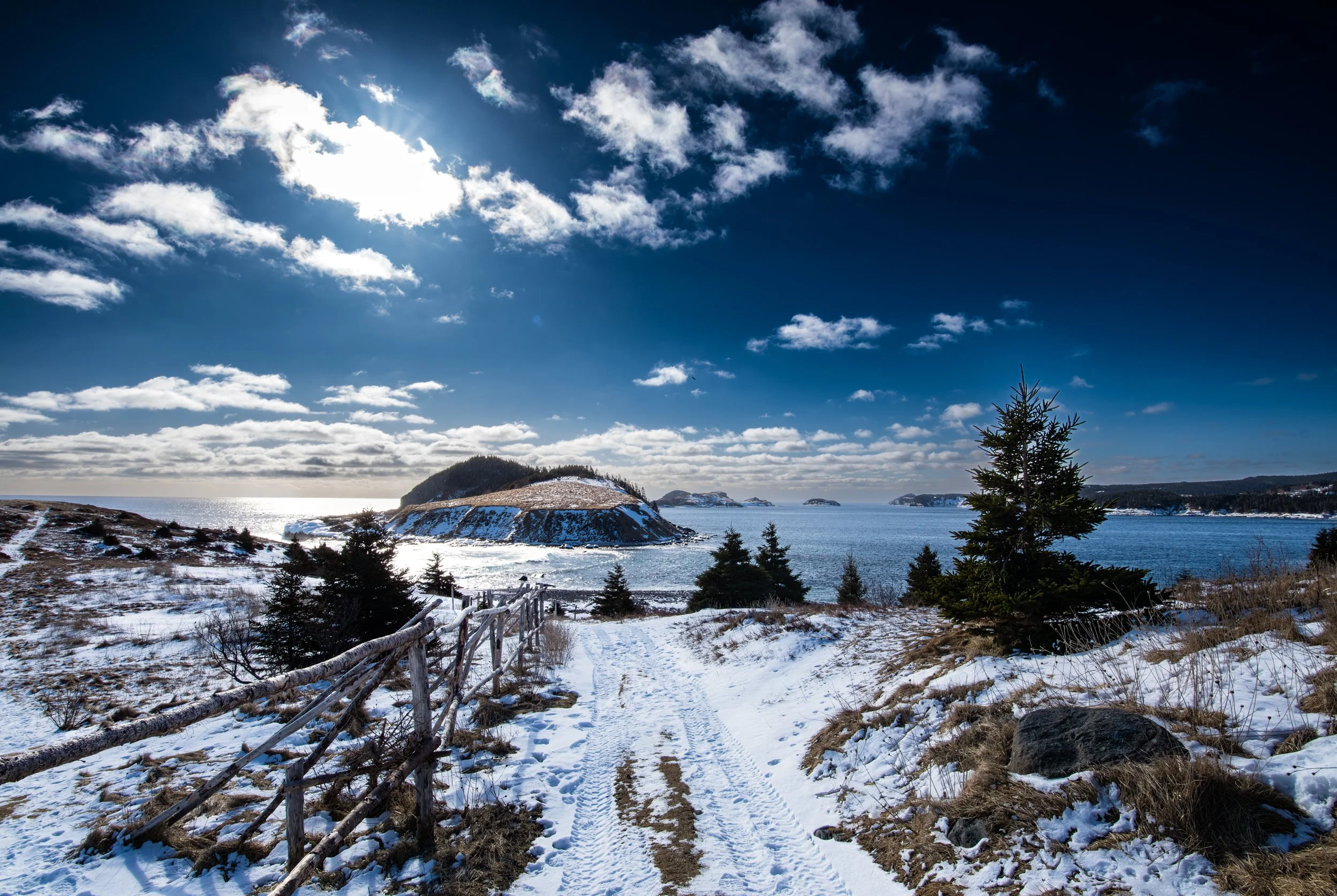 Fox Island - web-.jpg