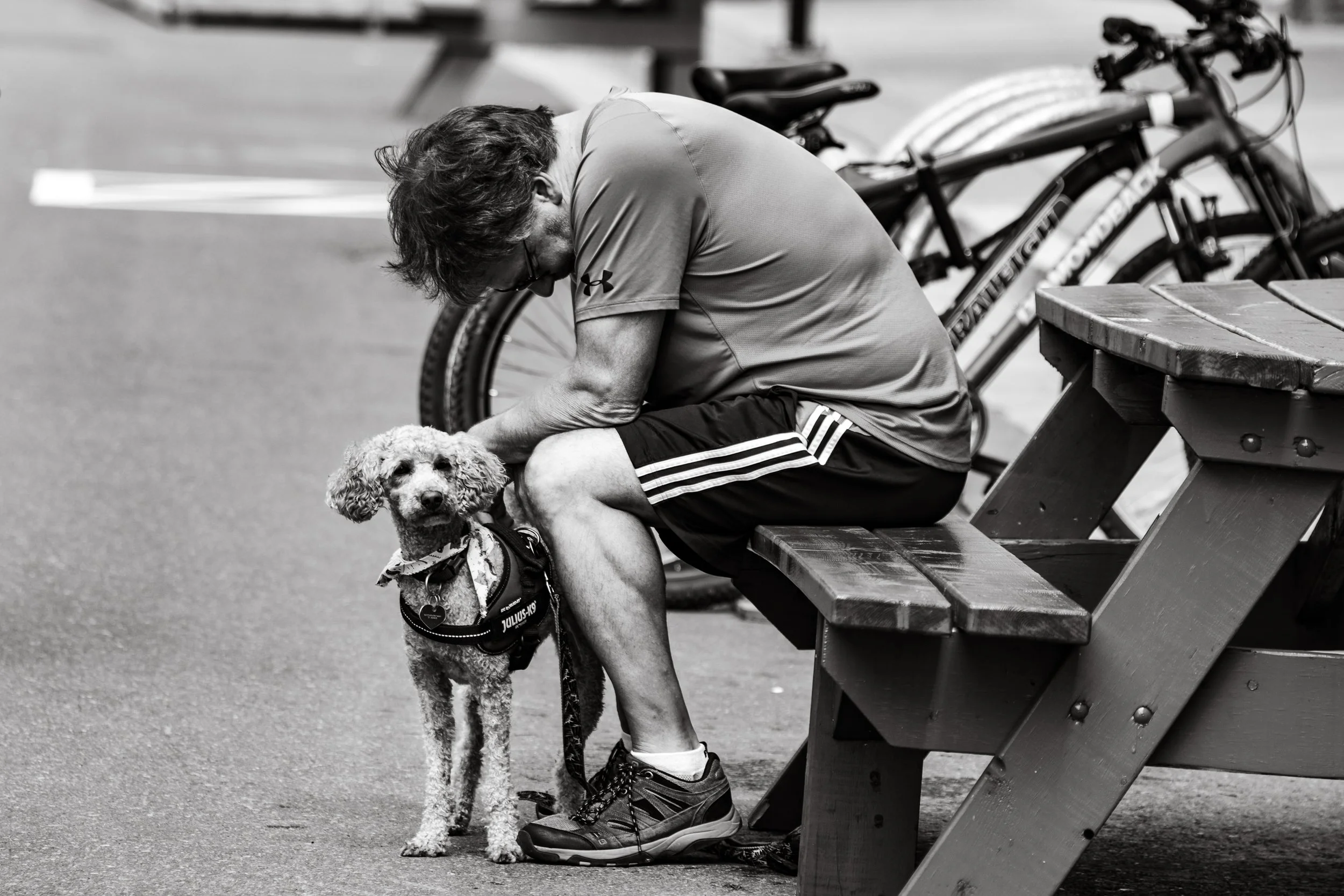 Street - Web 11-5320.jpg