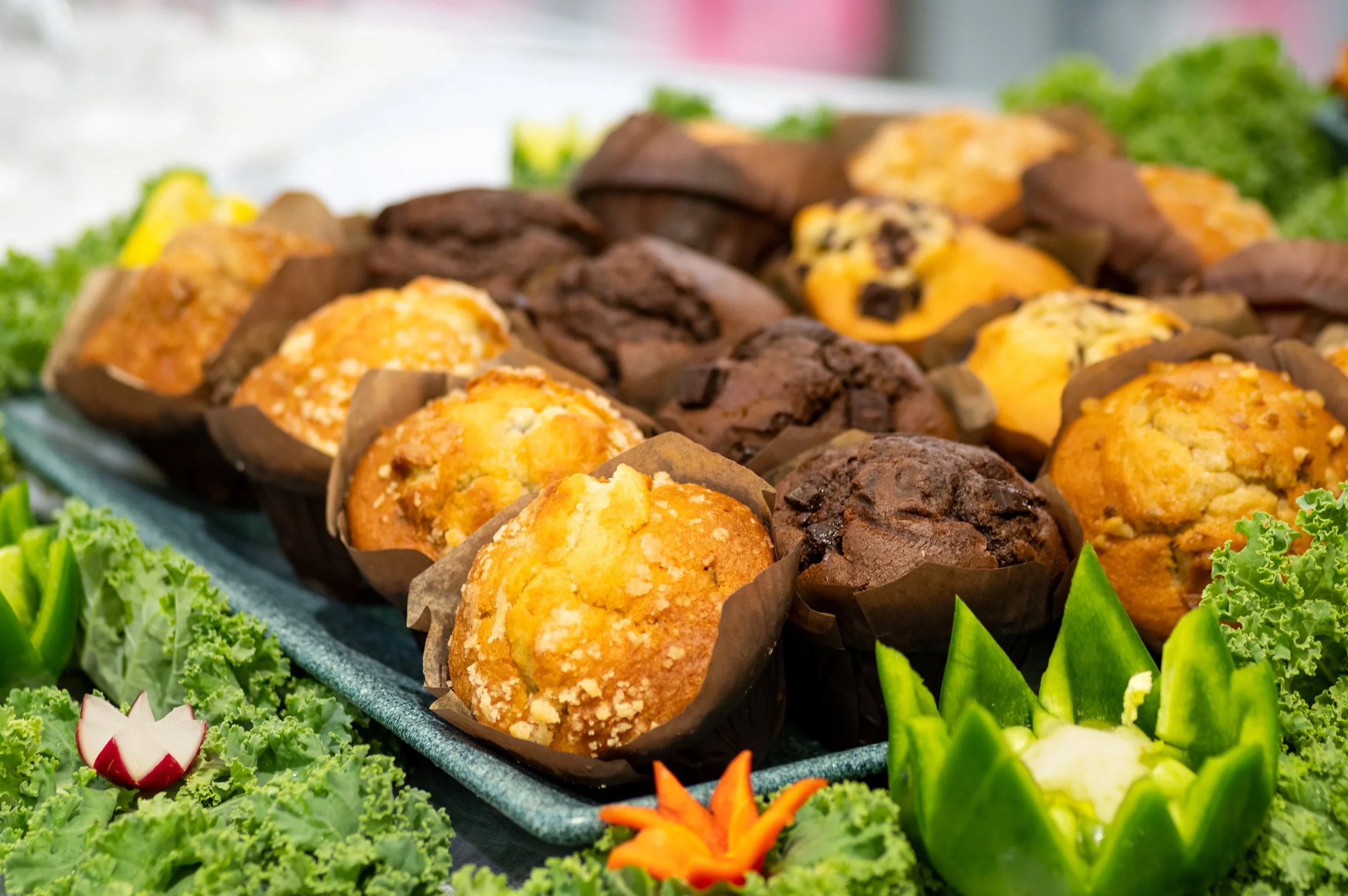 Fortis Food 11.jpg