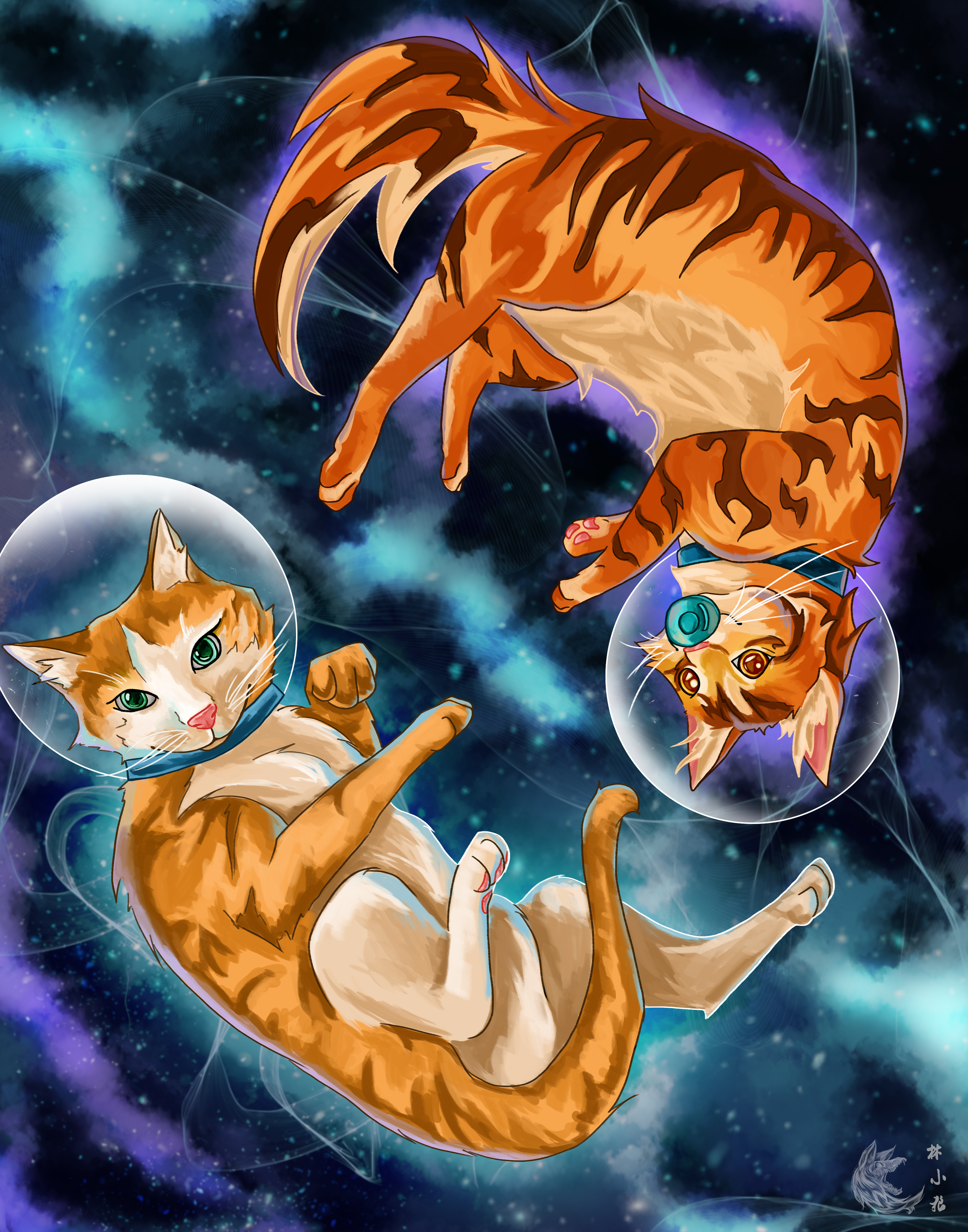 SpaceCat_Commission.png