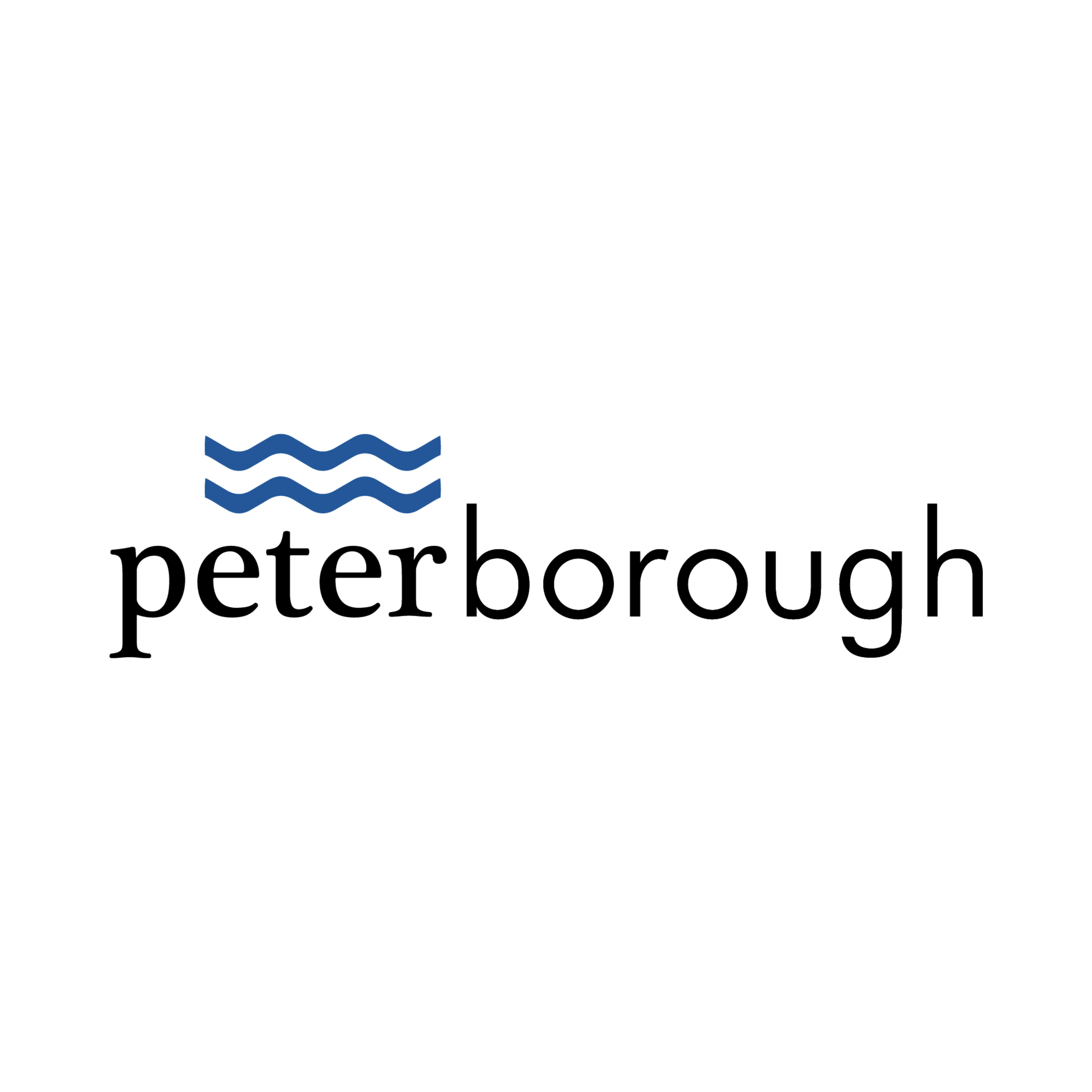 Logo of Peterborough with three wavy blue lines above the word 'peterborough' in black lowercase letters