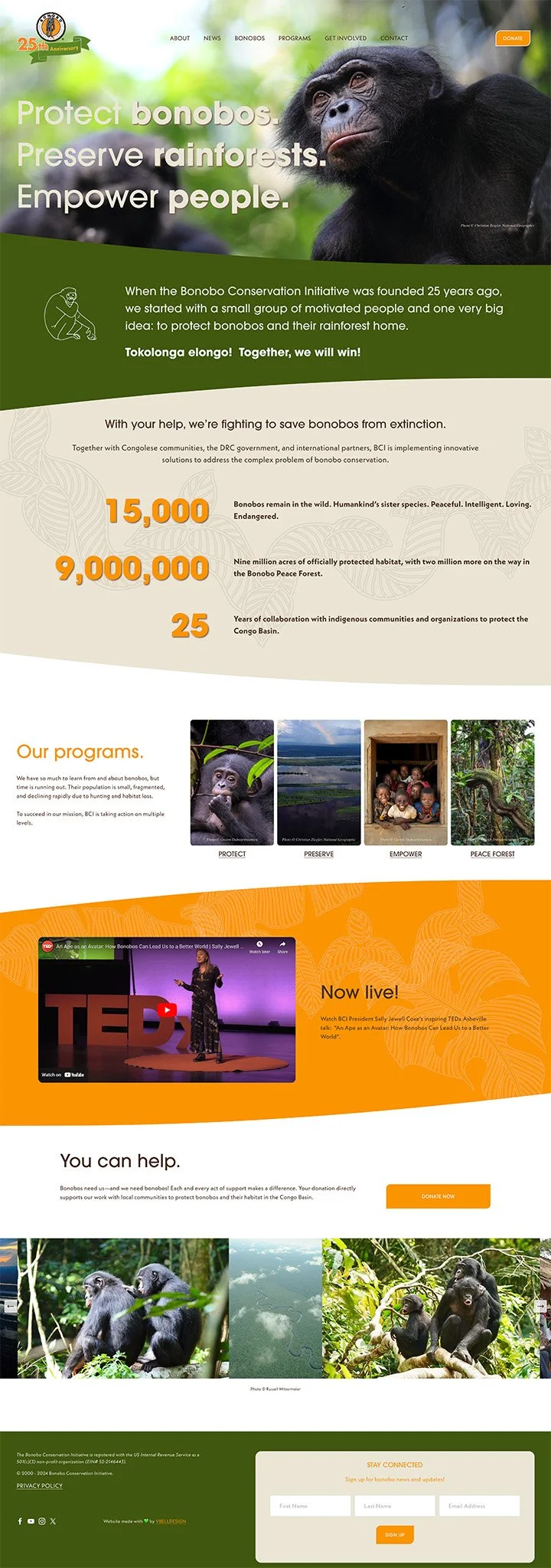 The webpage of the Bonobo Conservation Initiative featuring a large image of a bonobo and text emphasizing conservation efforts, statistics about bonobos, information about programs, a TEDx talk thumbnail, and images of bonobos in their habitat.