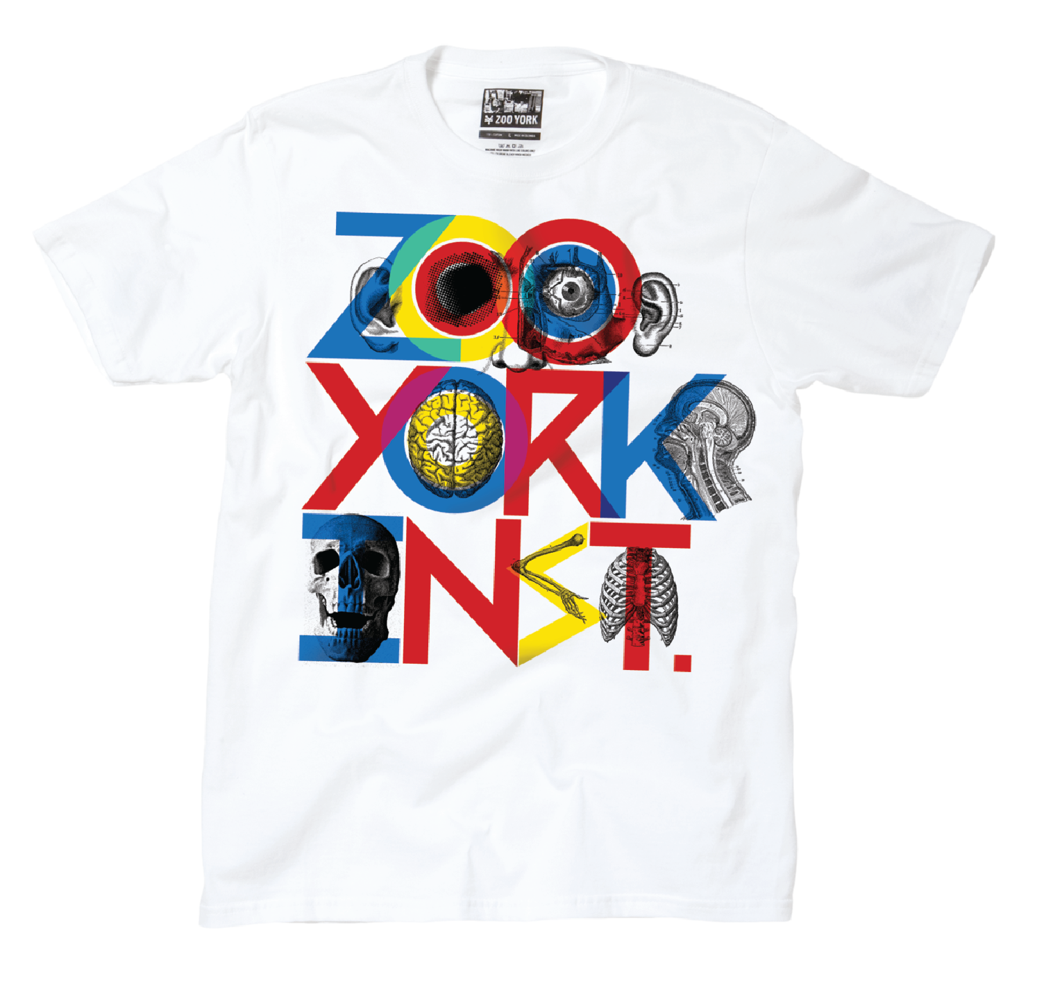 acker_ZY_casestudy__28.png