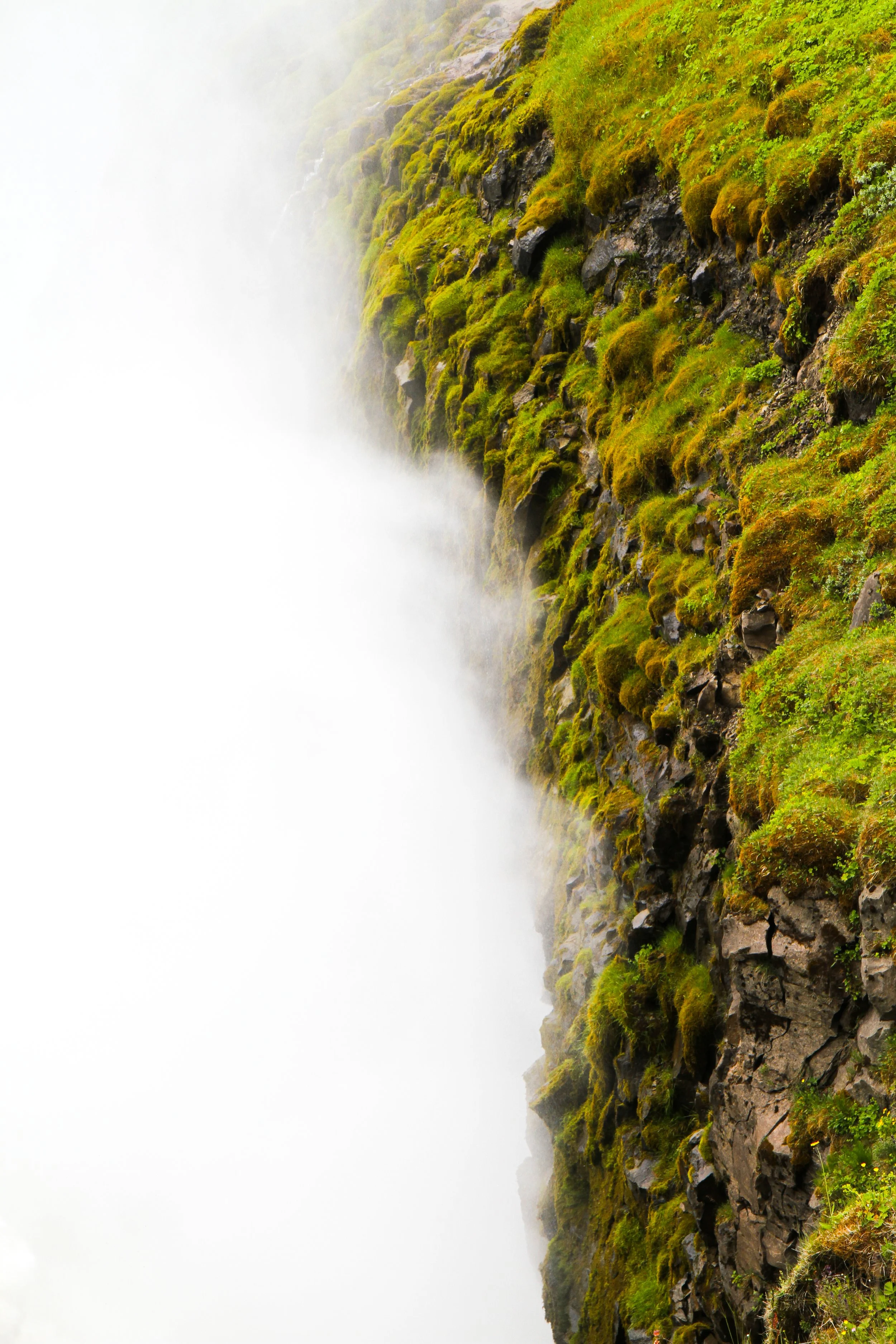 2022_CICEA_CampbellKlein_Grass:Fog_13 copy.jpg