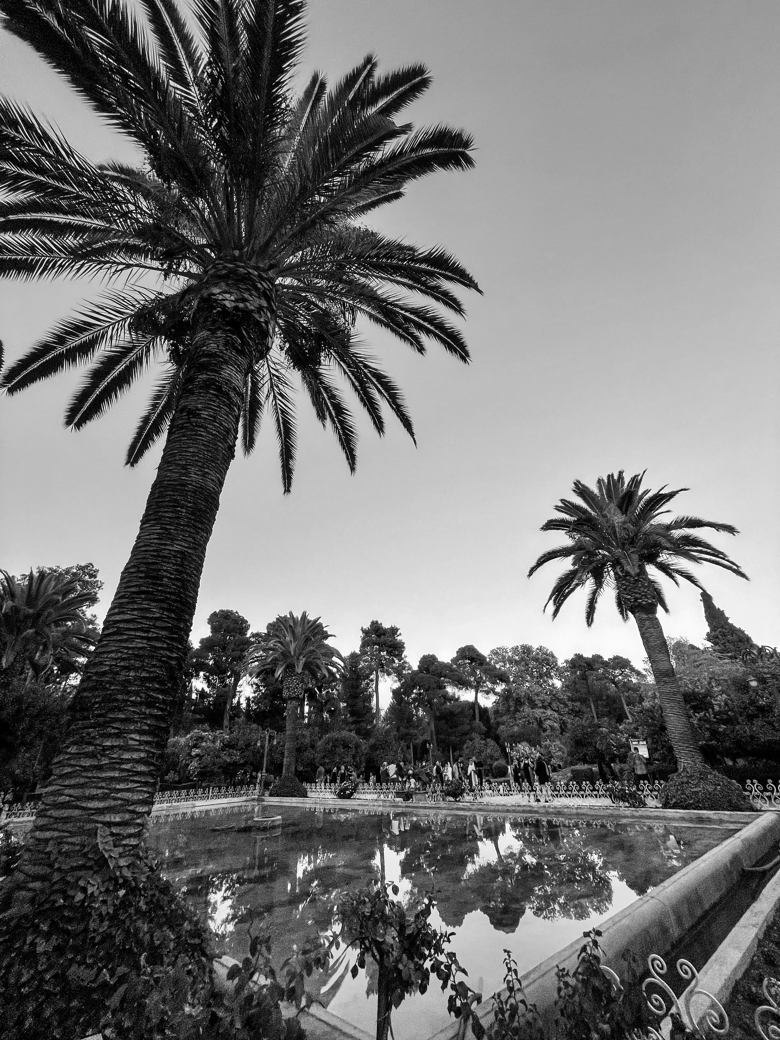 IMG_1209.JPG